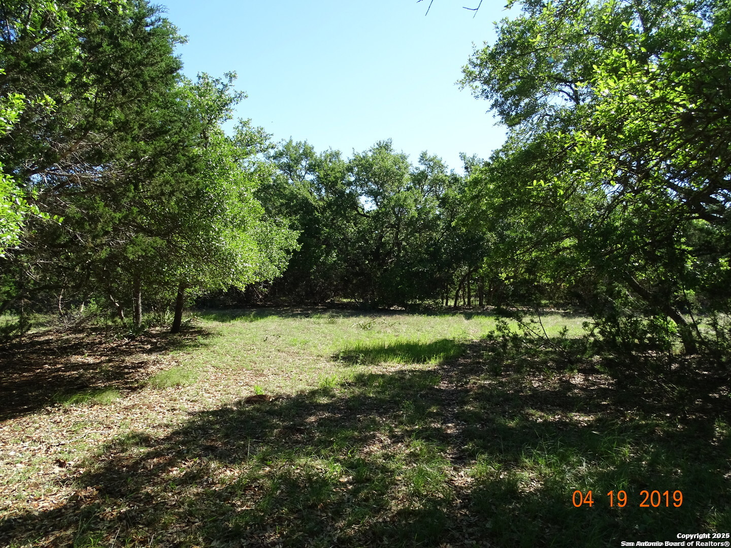 178 Bridlegate Boulevard Bandera, TX 78003 - Photo 4 of 4 a view of a tree in a yard