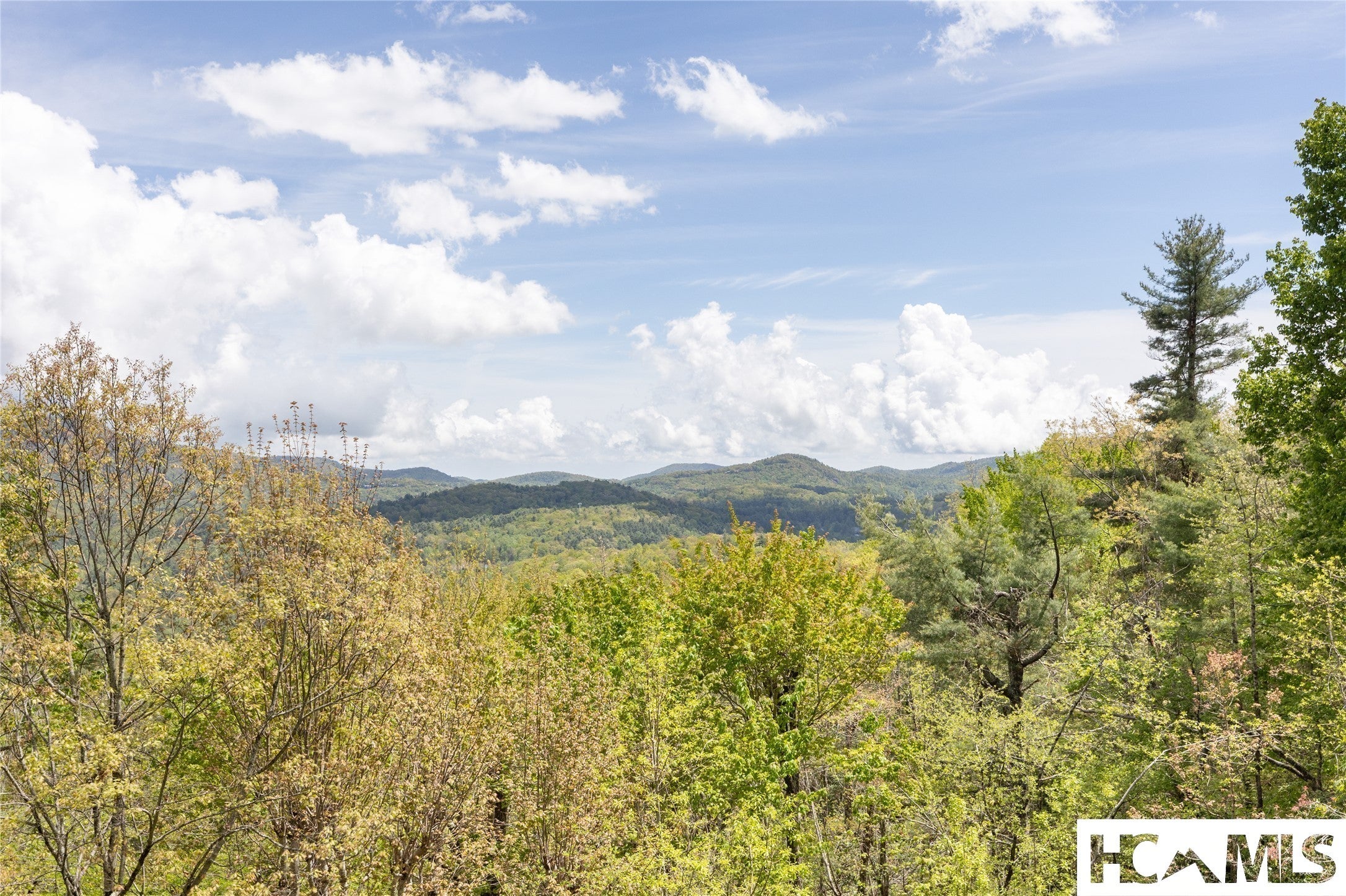 521 Sheepcote Road Cashiers, NC 28717 - Photo 66 of 97 Gallery Image 66