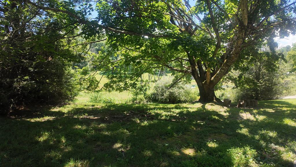 39075 Widener Valley Road Chilhowie, VA 24319 - Photo 59 of 61 Gallery Image 59