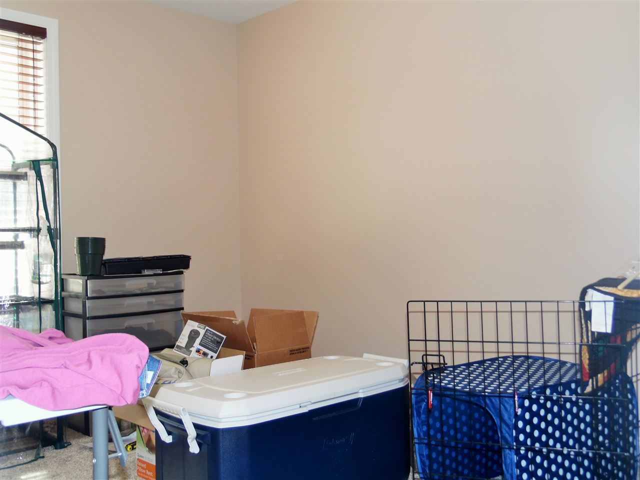 55 Will Colburn Road Rumney, NH 03266 - Photo 33 of 40
