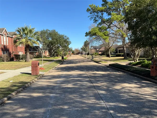 a park view with palm trees