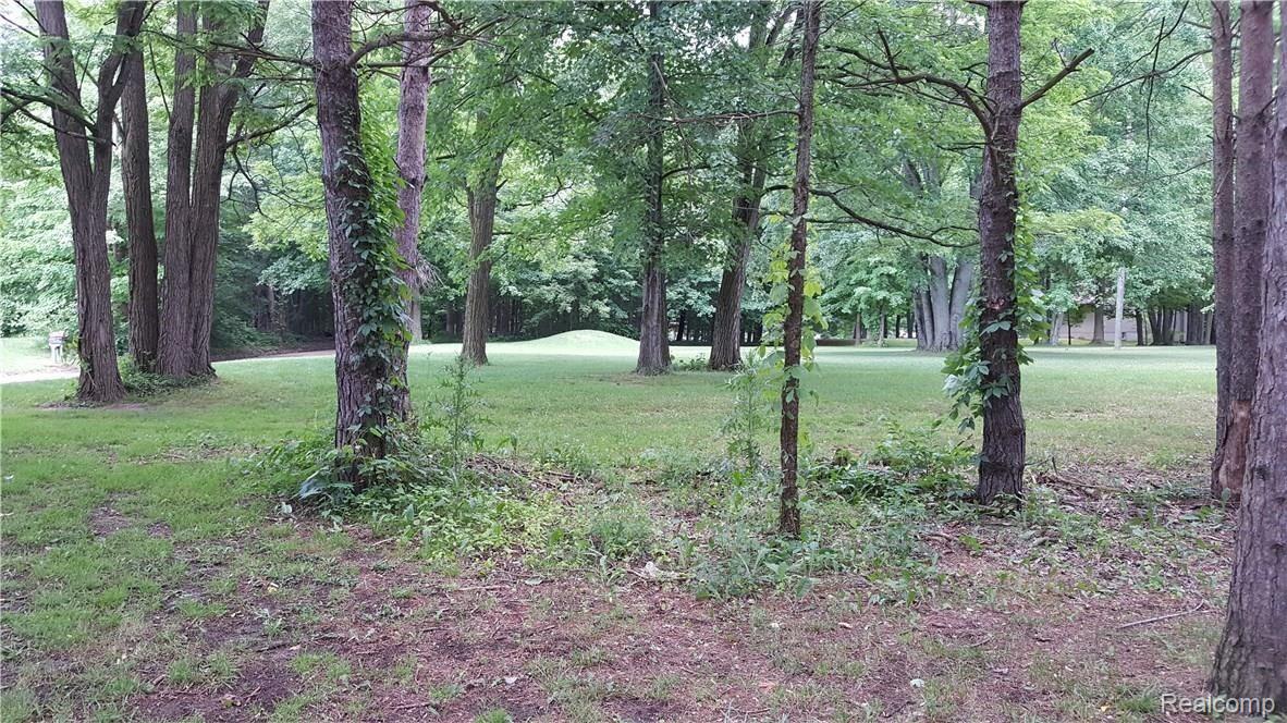 8973 West Coon Lake Road Gregory, MI 48137 - Photo 37 of 37 20170623_194259.jpg