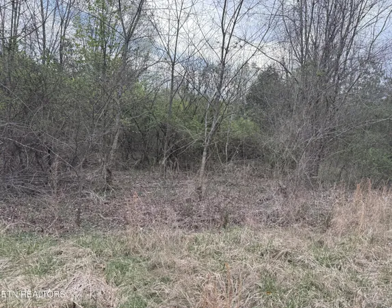 $21,154 | 145 Foxwood Drive, Unit LOT 6, Kingston, TN 37763