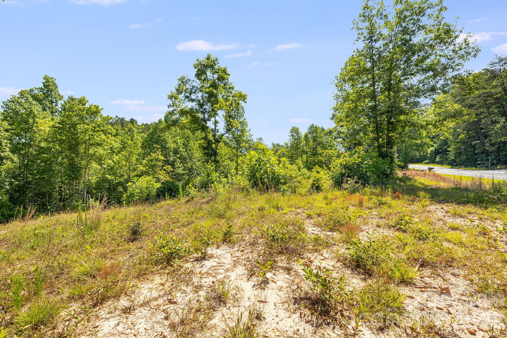 Lot #2 Clark Road Rutherfordton, NC 28139 - Photo 10 of 36