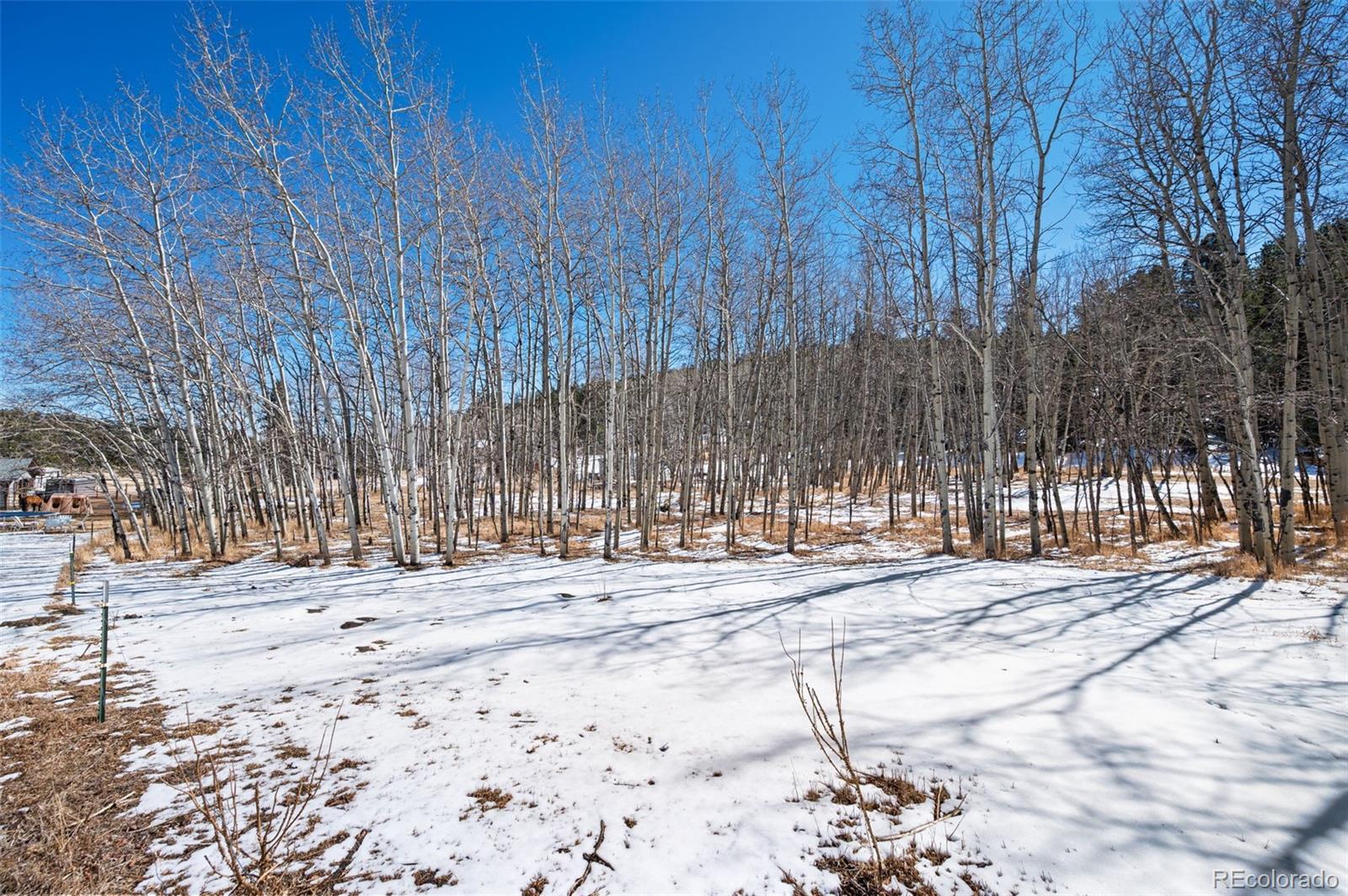 2222 County Road 72 Bailey, CO 80421 - Photo 45 of 50 a view of a backyard of the house