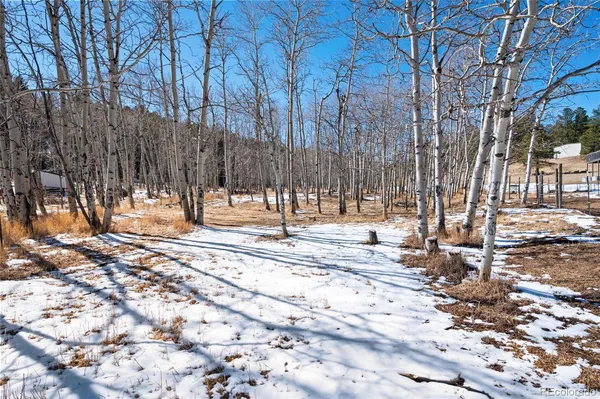 $665,000 | 2222 County Road 72, Bailey, CO 80421