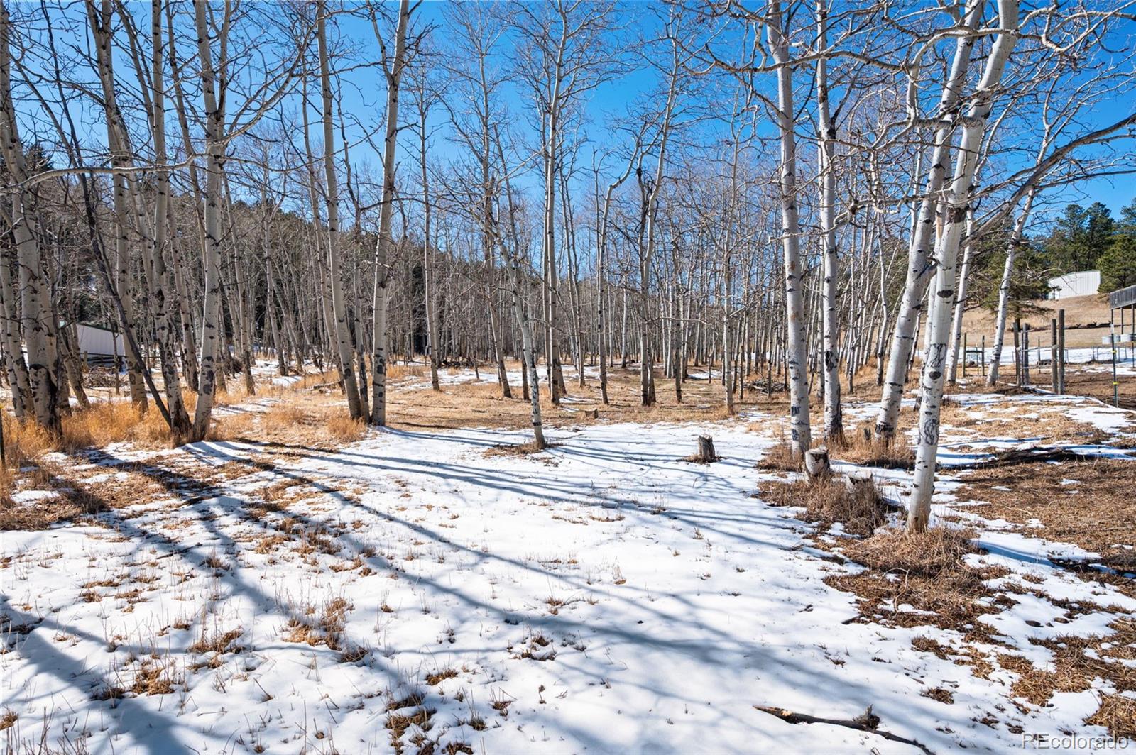 2222 County Road 72 Bailey, CO 80421 - Photo 46 of 50 a view of road with trees