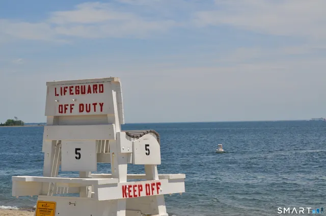 an aerial view of a yard with a tree