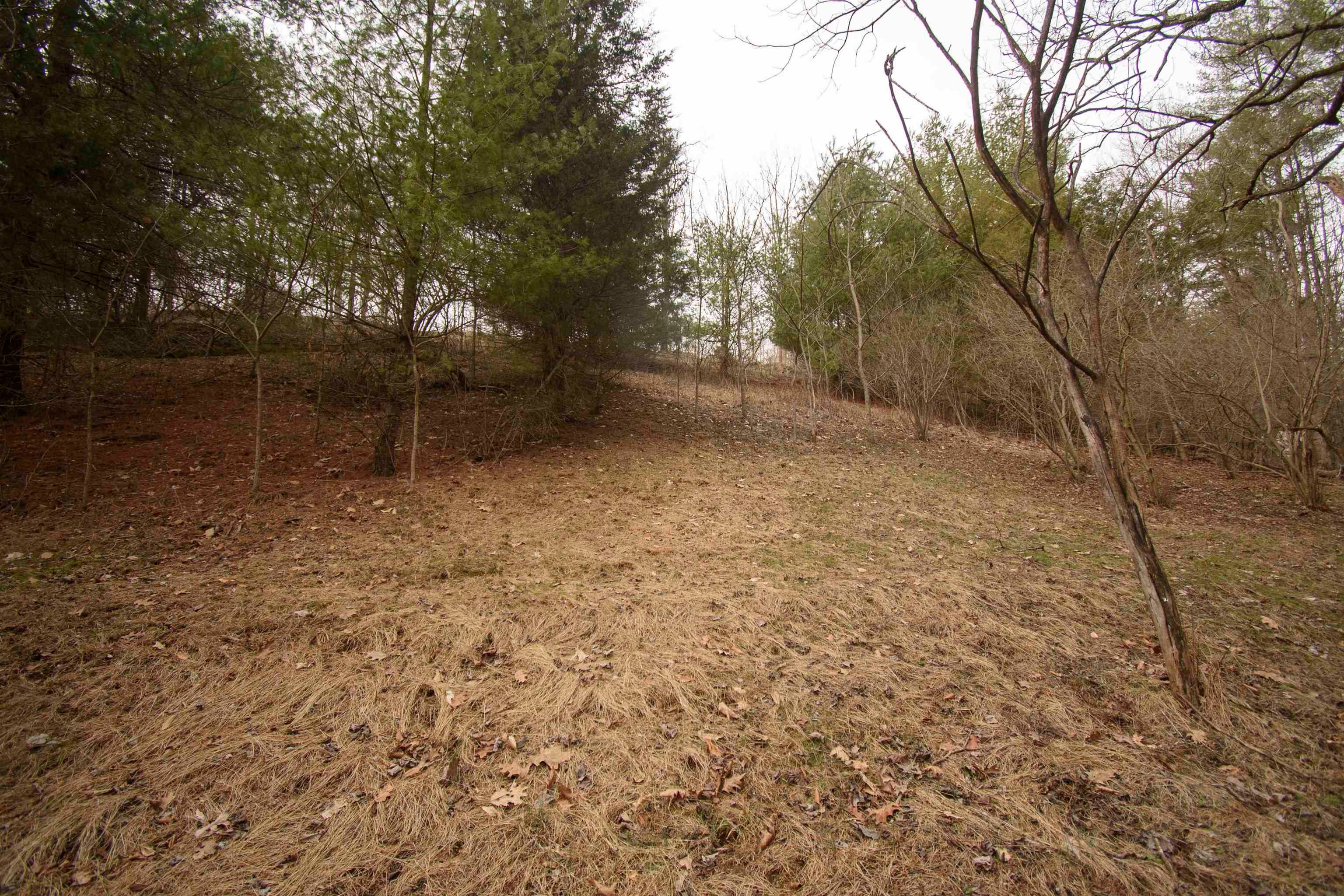 Tbd Lot 8 Tbd Road Draper, VA 24324 - Photo 11 of 33 Gallery Image 11