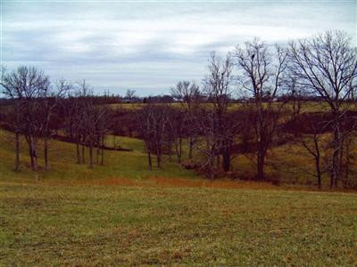 1965 Saltwell Road Carlisle, KY 40311 - Photo 5 of 12 Nice view of a small inviting valley on