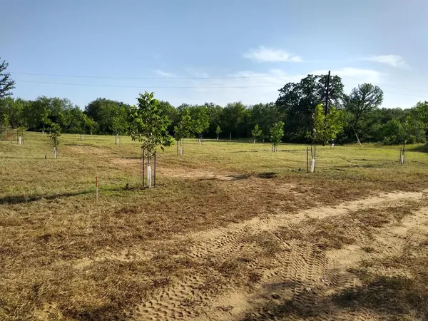 $899,750 | 3925 County Road 216, San Saba, TX 76877