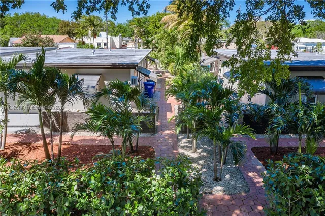 a view of a backyard with plants and palm tree