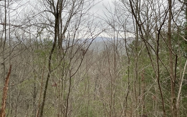 62 Jitterbug Lane Murphy, NC 28906 - Photo 2 of 4 Additional View