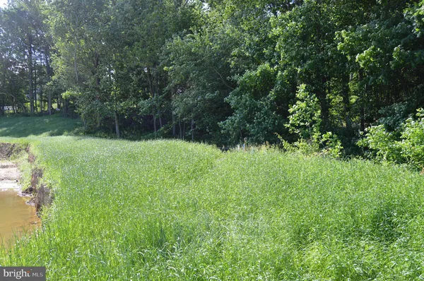 a view of a backyard with a garden