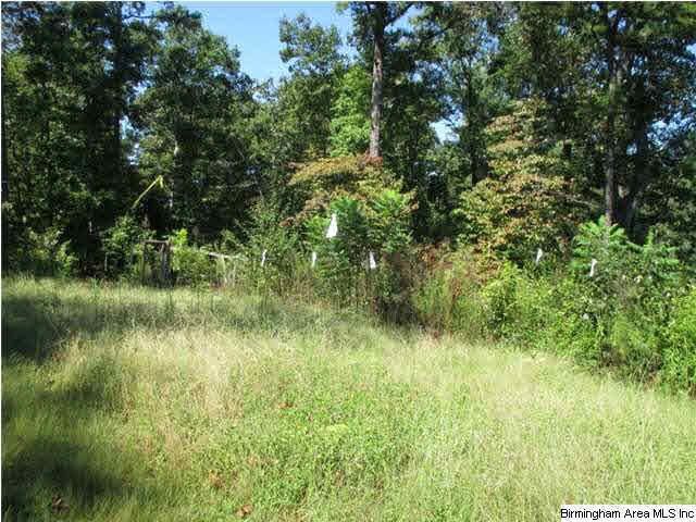 1082 Camp Winnataska Road Pell City, AL 35128 - Photo 2 of 14