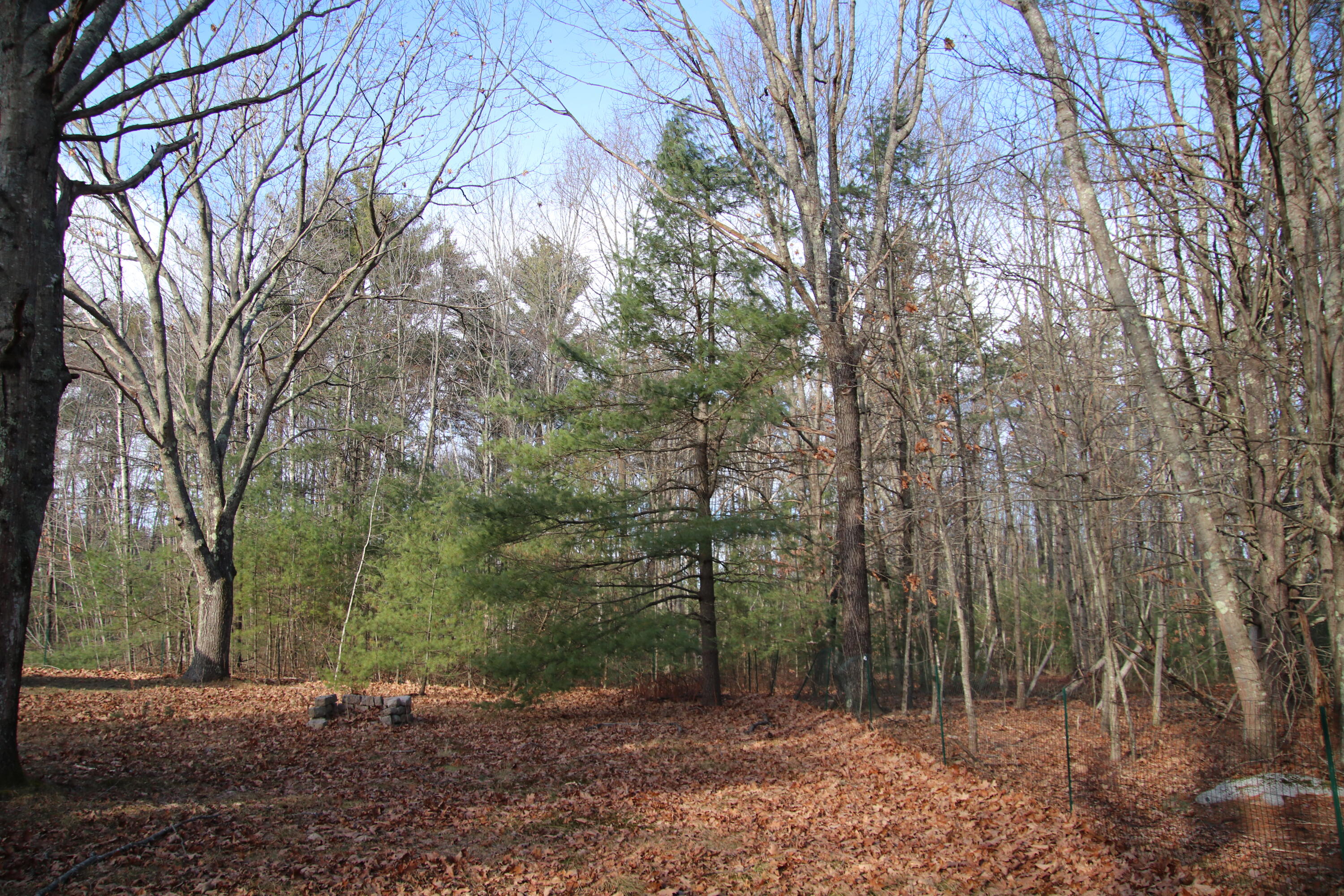 37 Kennebunk Pond Road Lyman, ME 04002 - Photo 56 of 68 IMG_1779