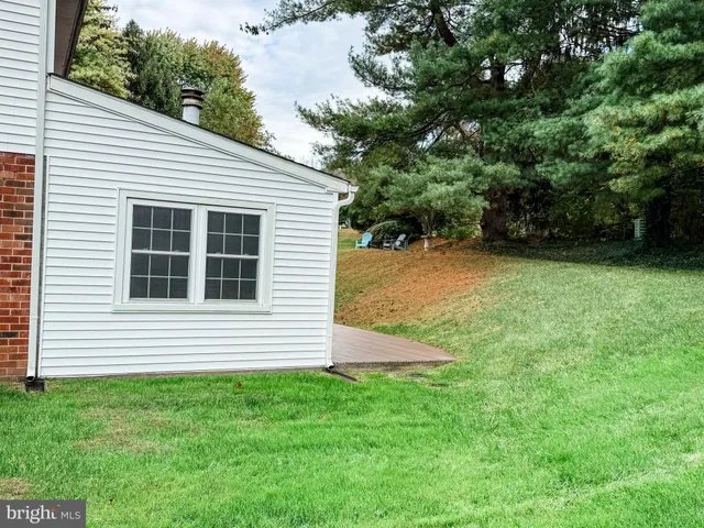 a view of a backyard with plants and large trees