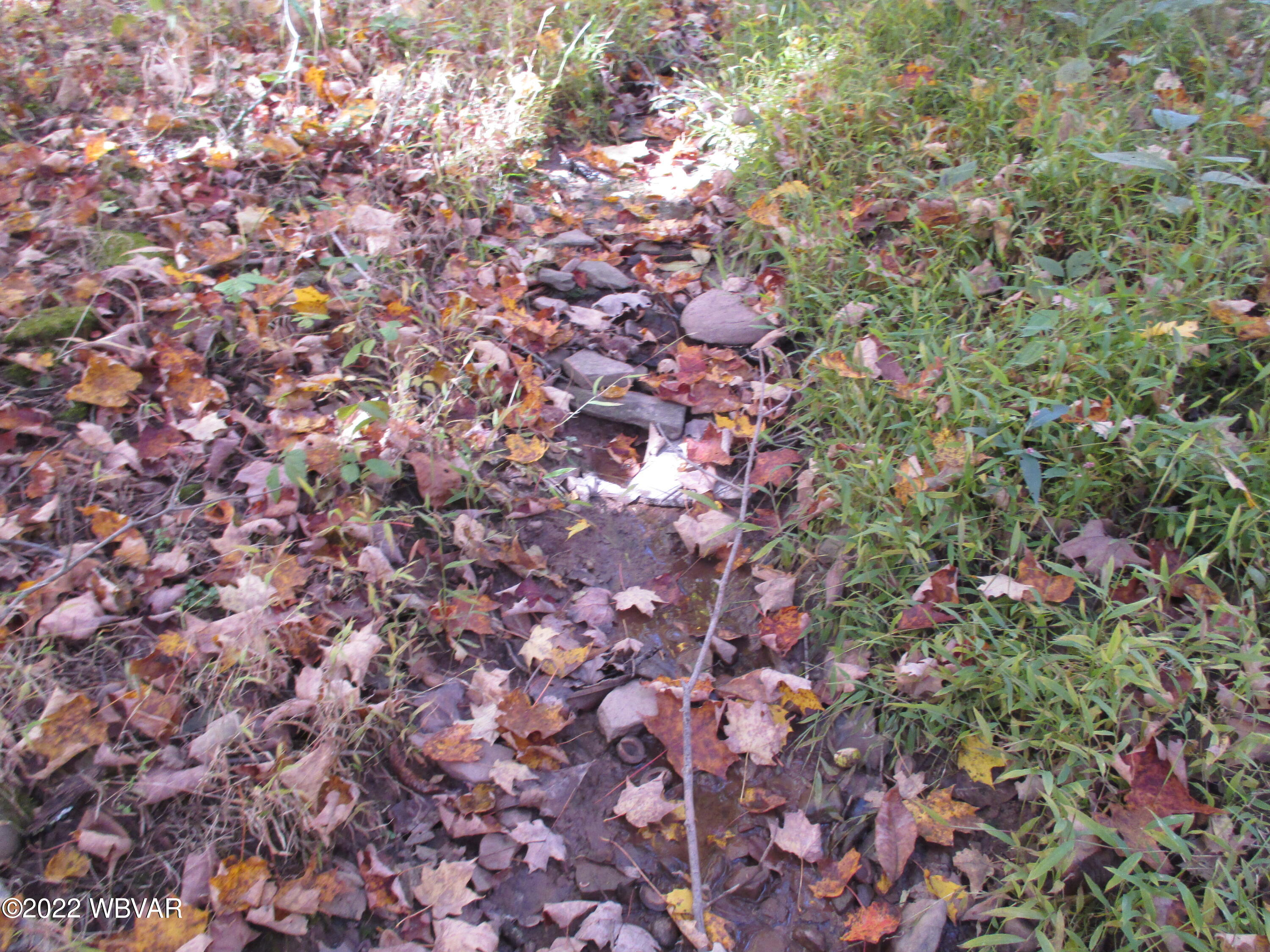 Lake Road Muncy Valley, PA 17758 - Photo 20 of 26 Gallery Image 20