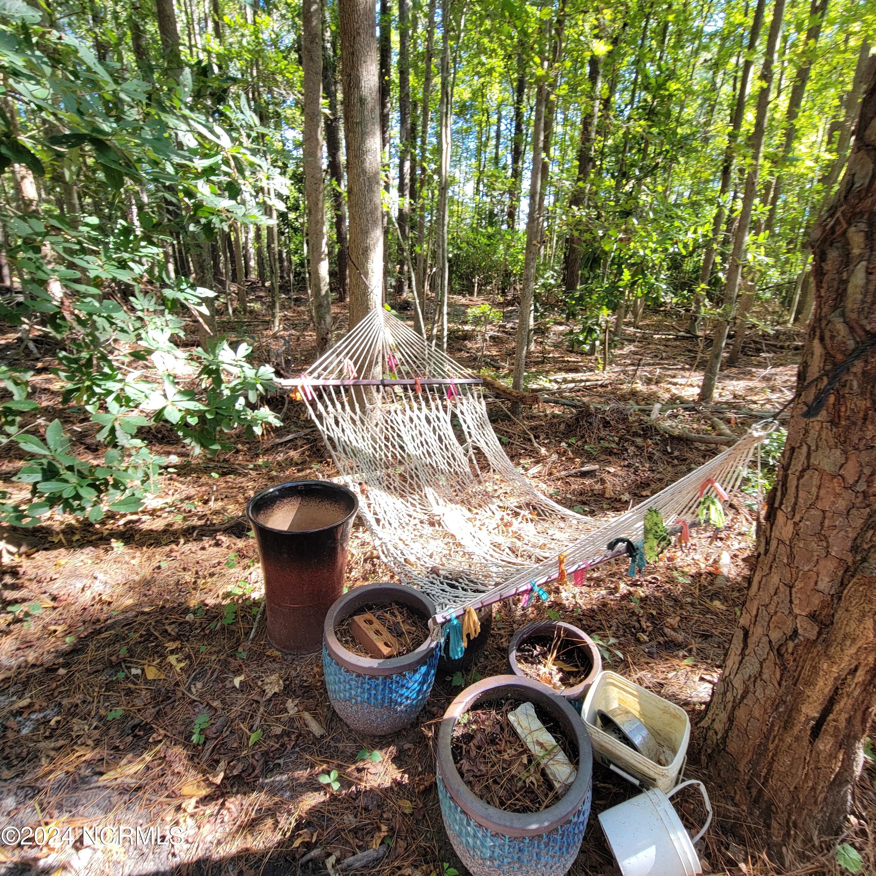 2294 Dawson Cabin Road Jacksonville, NC 28540 - Photo 11 of 51 20241010_150012