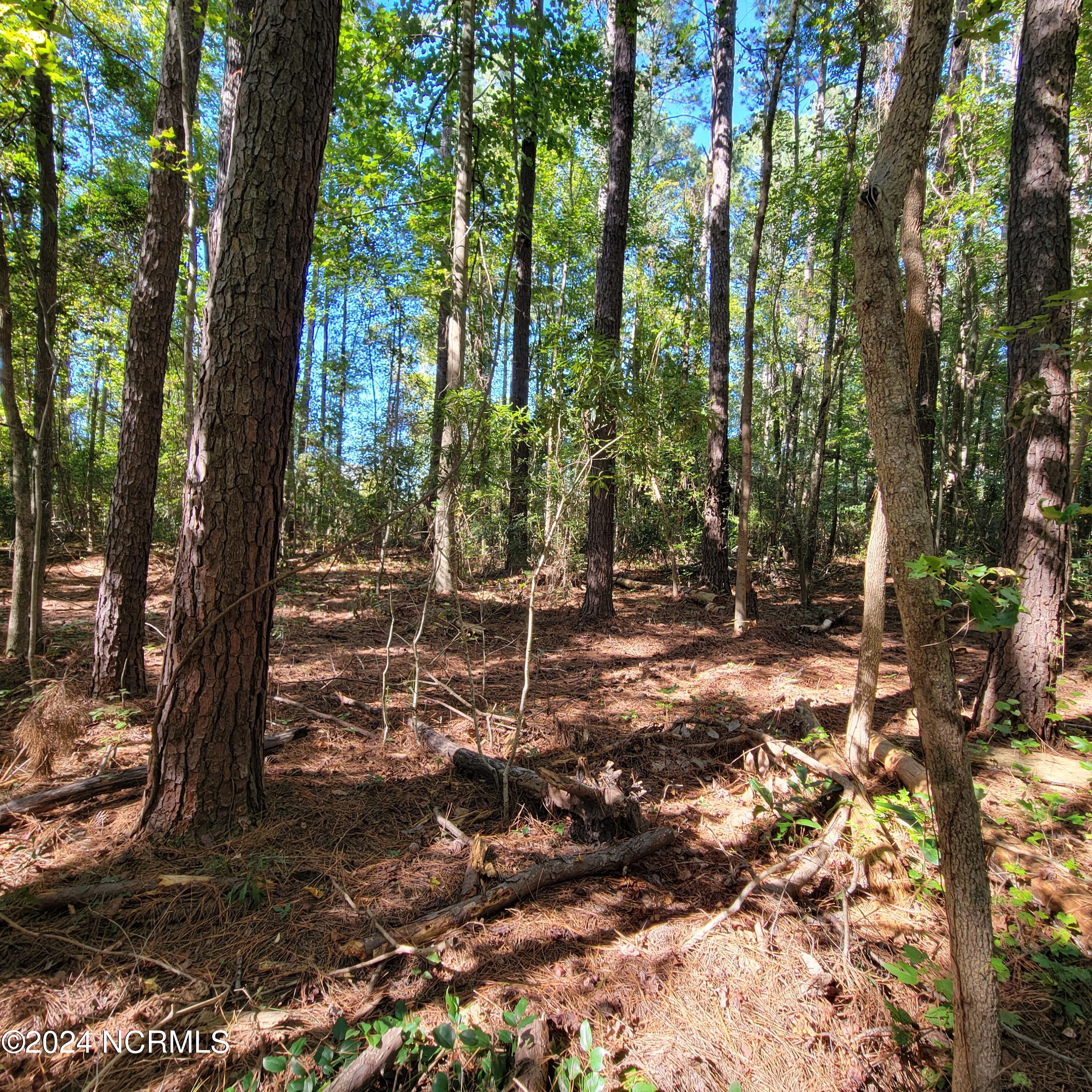 2294 Dawson Cabin Road Jacksonville, NC 28540 - Photo 18 of 51 20241010_150152