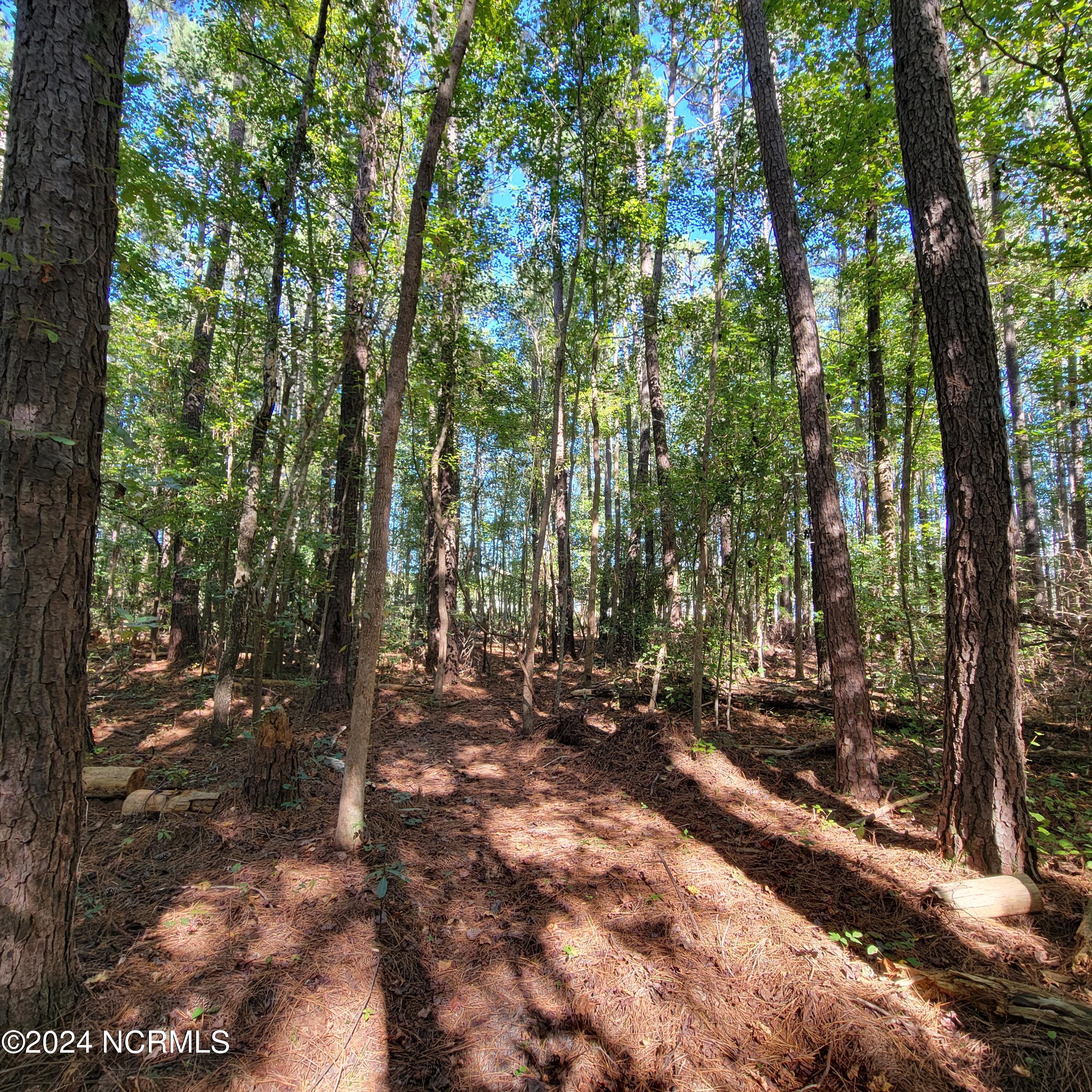 2294 Dawson Cabin Road Jacksonville, NC 28540 - Photo 20 of 51 20241010_150214