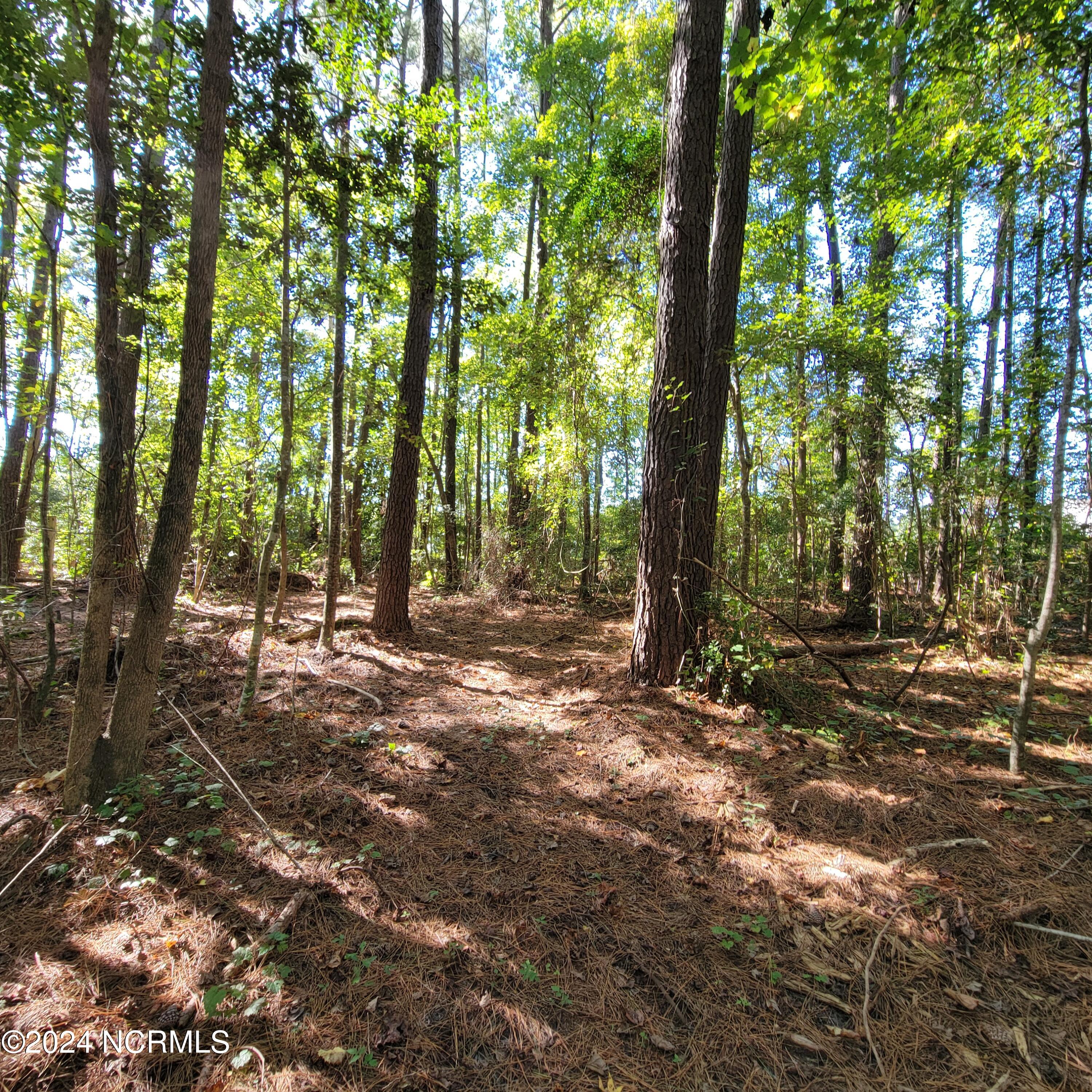 2294 Dawson Cabin Road Jacksonville, NC 28540 - Photo 21 of 51 20241010_150222