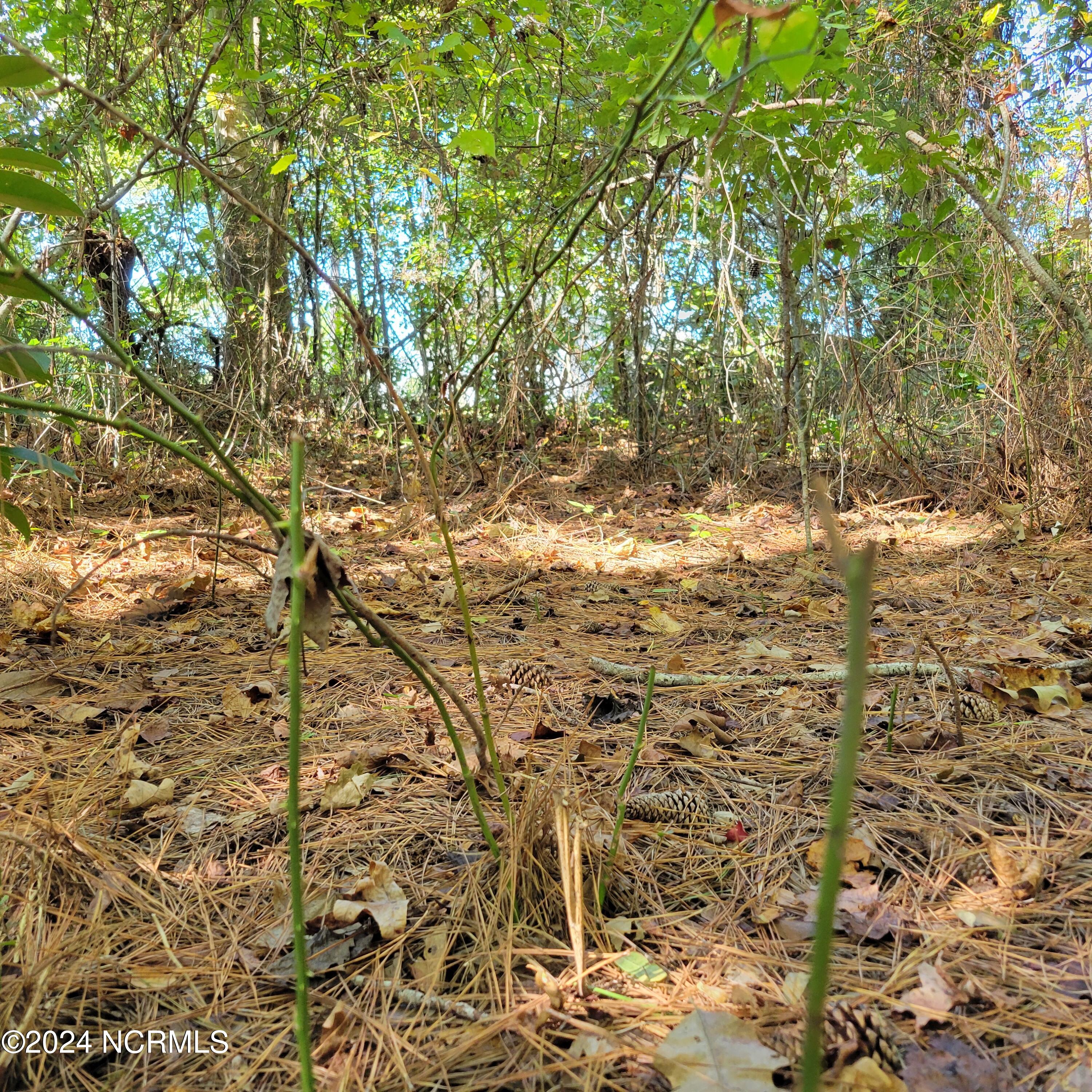 2294 Dawson Cabin Road Jacksonville, NC 28540 - Photo 22 of 51 20241010_150350