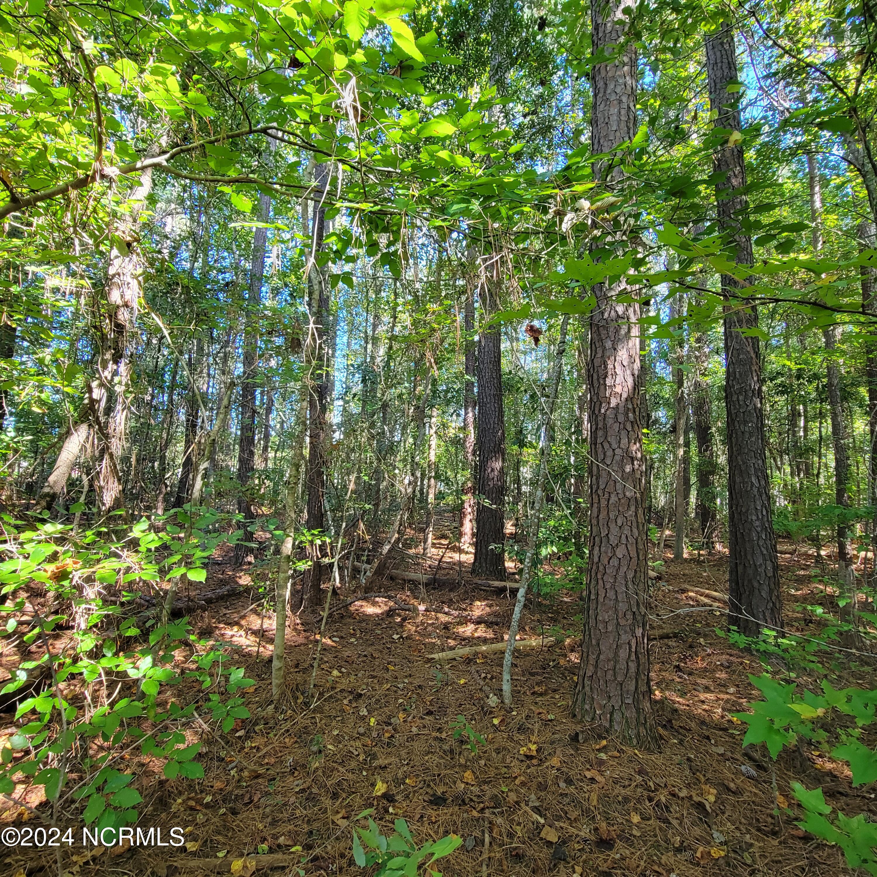 2294 Dawson Cabin Road Jacksonville, NC 28540 - Photo 24 of 51 20241010_150716