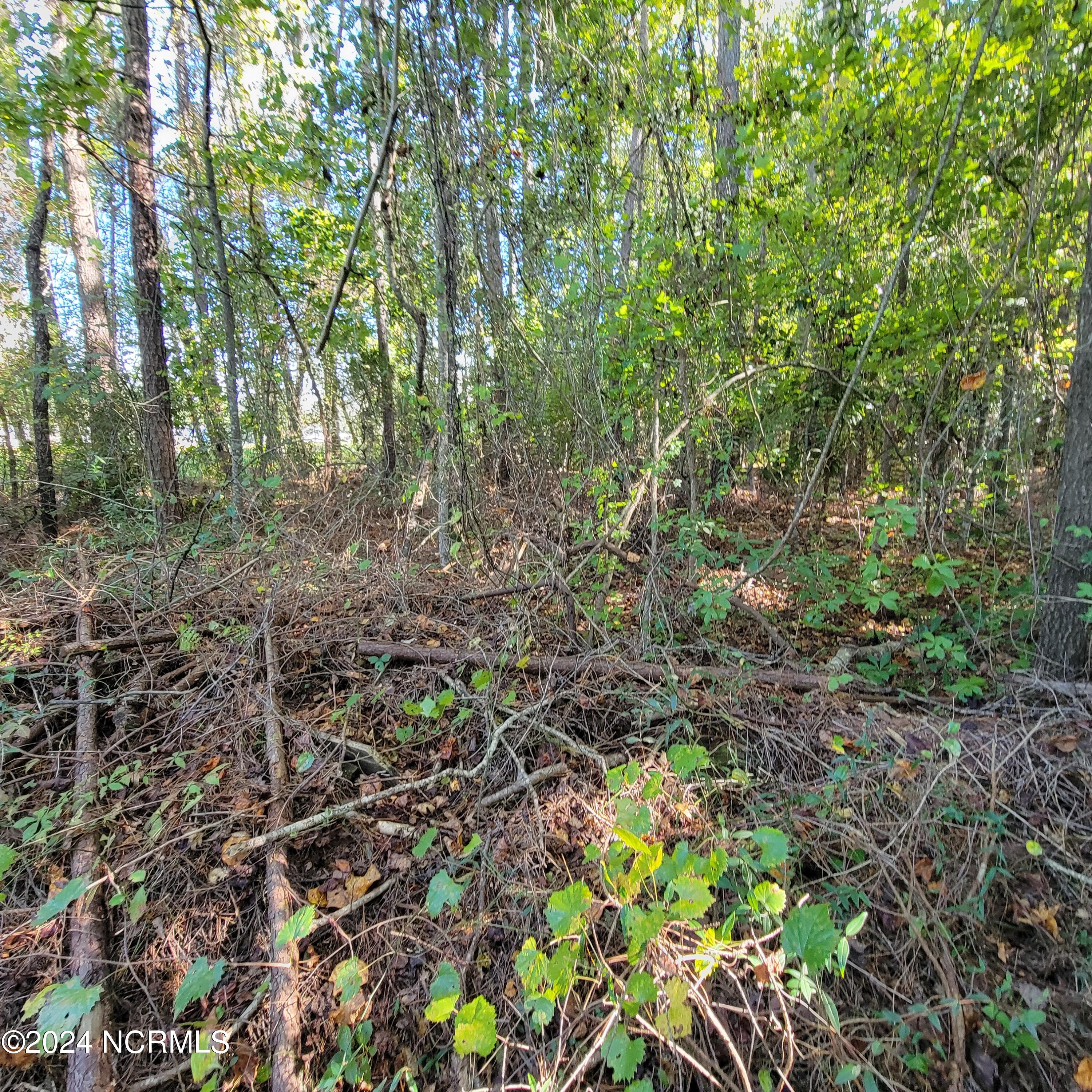 2294 Dawson Cabin Road Jacksonville, NC 28540 - Photo 27 of 51 20241010_150947