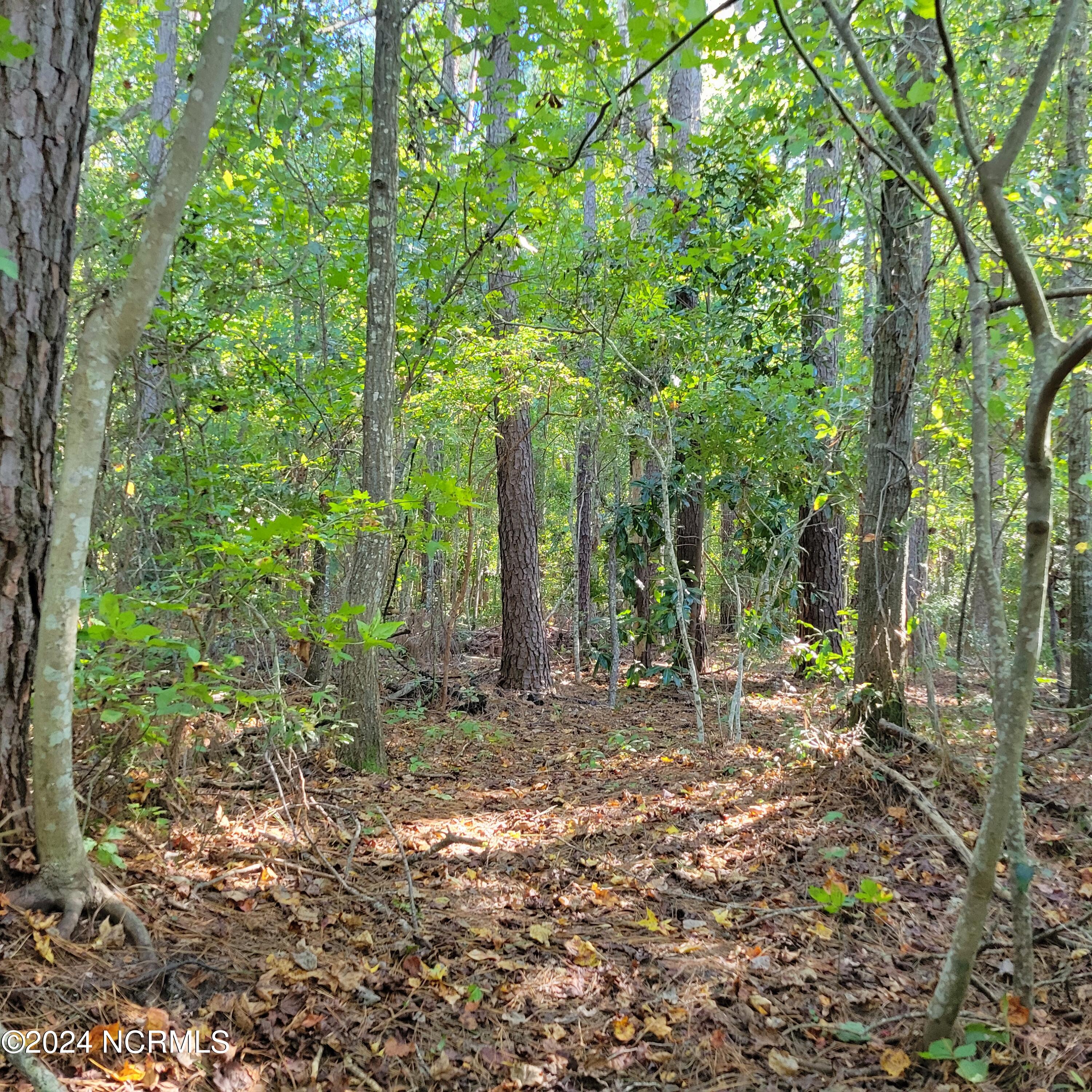 2294 Dawson Cabin Road Jacksonville, NC 28540 - Photo 30 of 51 20241010_151126