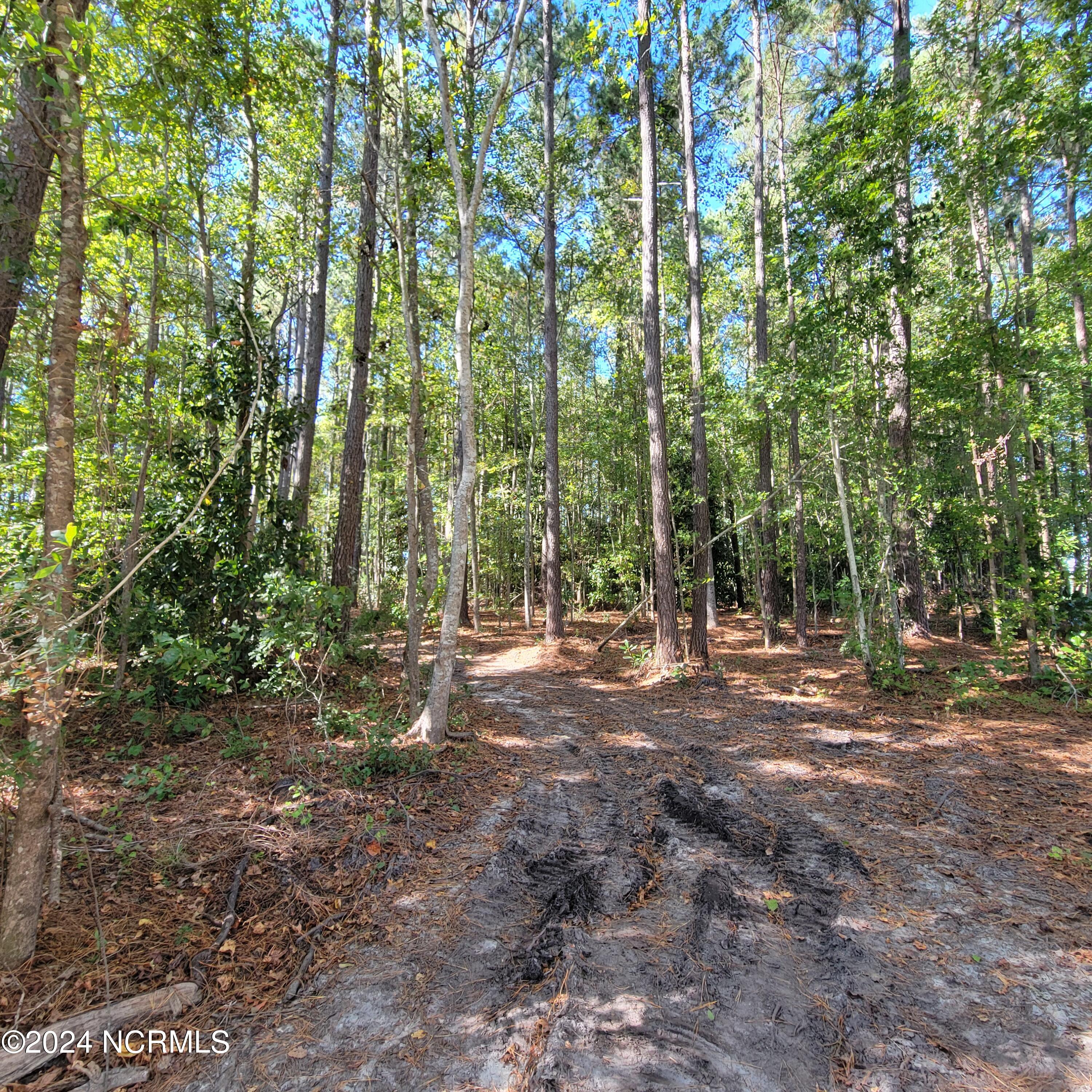 2294 Dawson Cabin Road Jacksonville, NC 28540 - Photo 3 of 51 20241010_145511