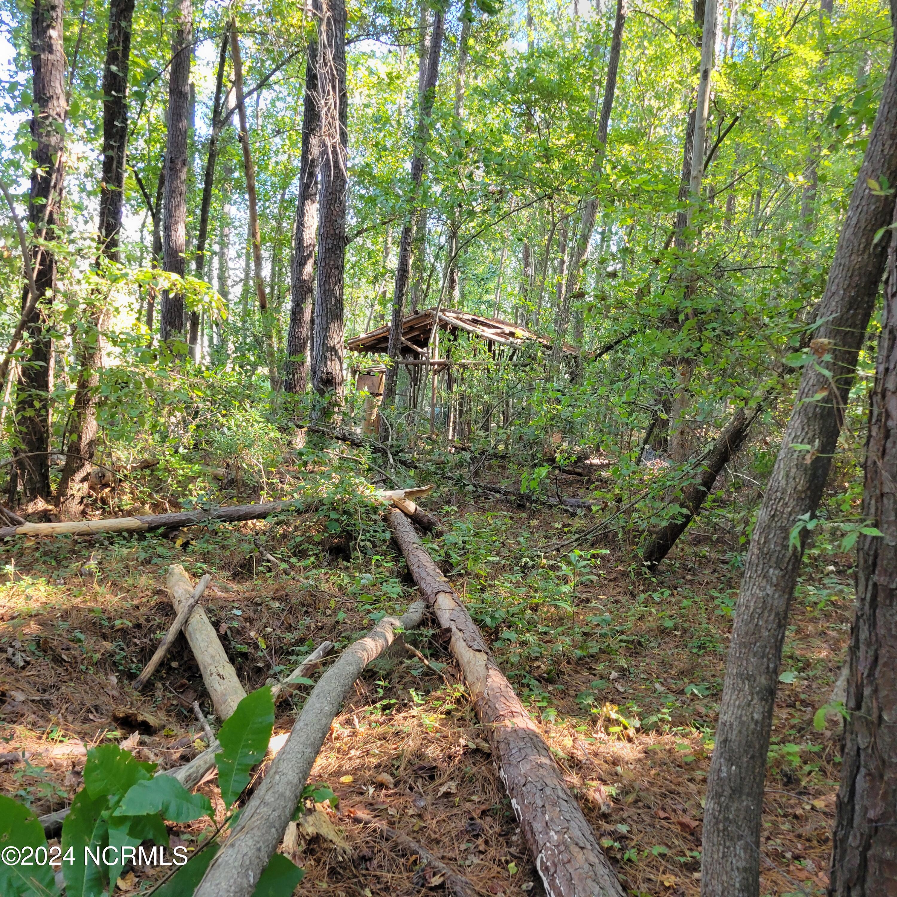 2294 Dawson Cabin Road Jacksonville, NC 28540 - Photo 31 of 51 20241010_151244