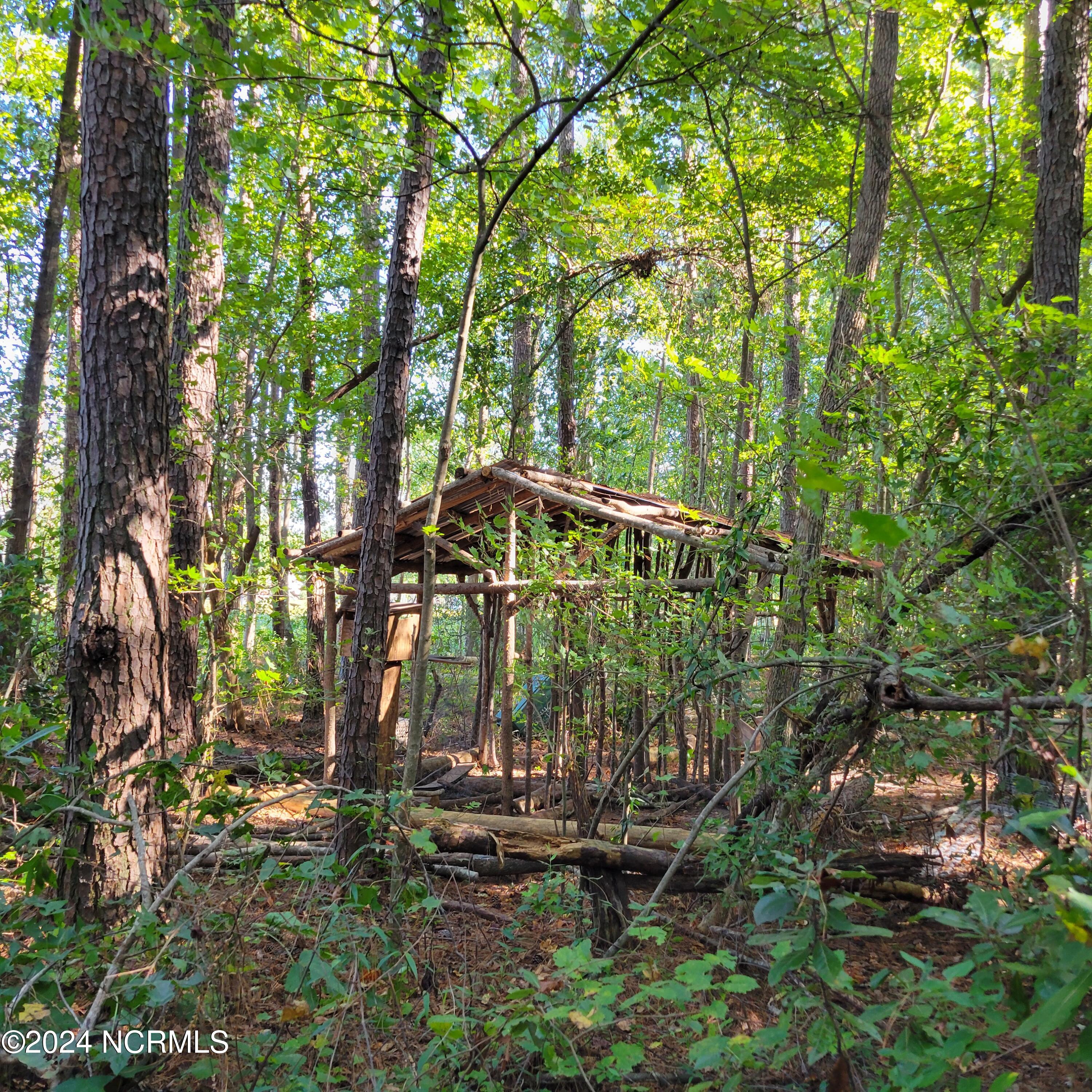 2294 Dawson Cabin Road Jacksonville, NC 28540 - Photo 32 of 51 20241010_151257