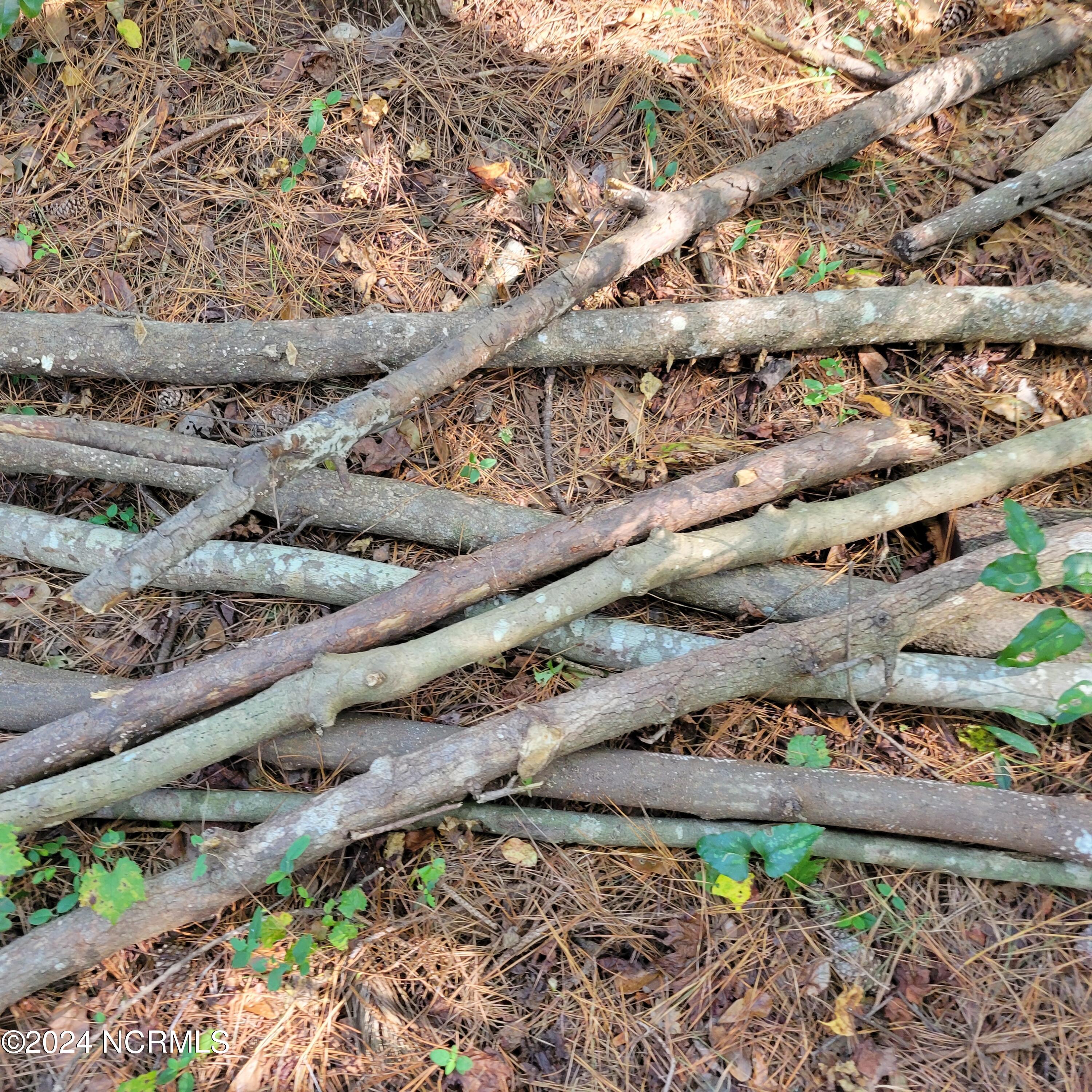 2294 Dawson Cabin Road Jacksonville, NC 28540 - Photo 34 of 51 20241010_151341