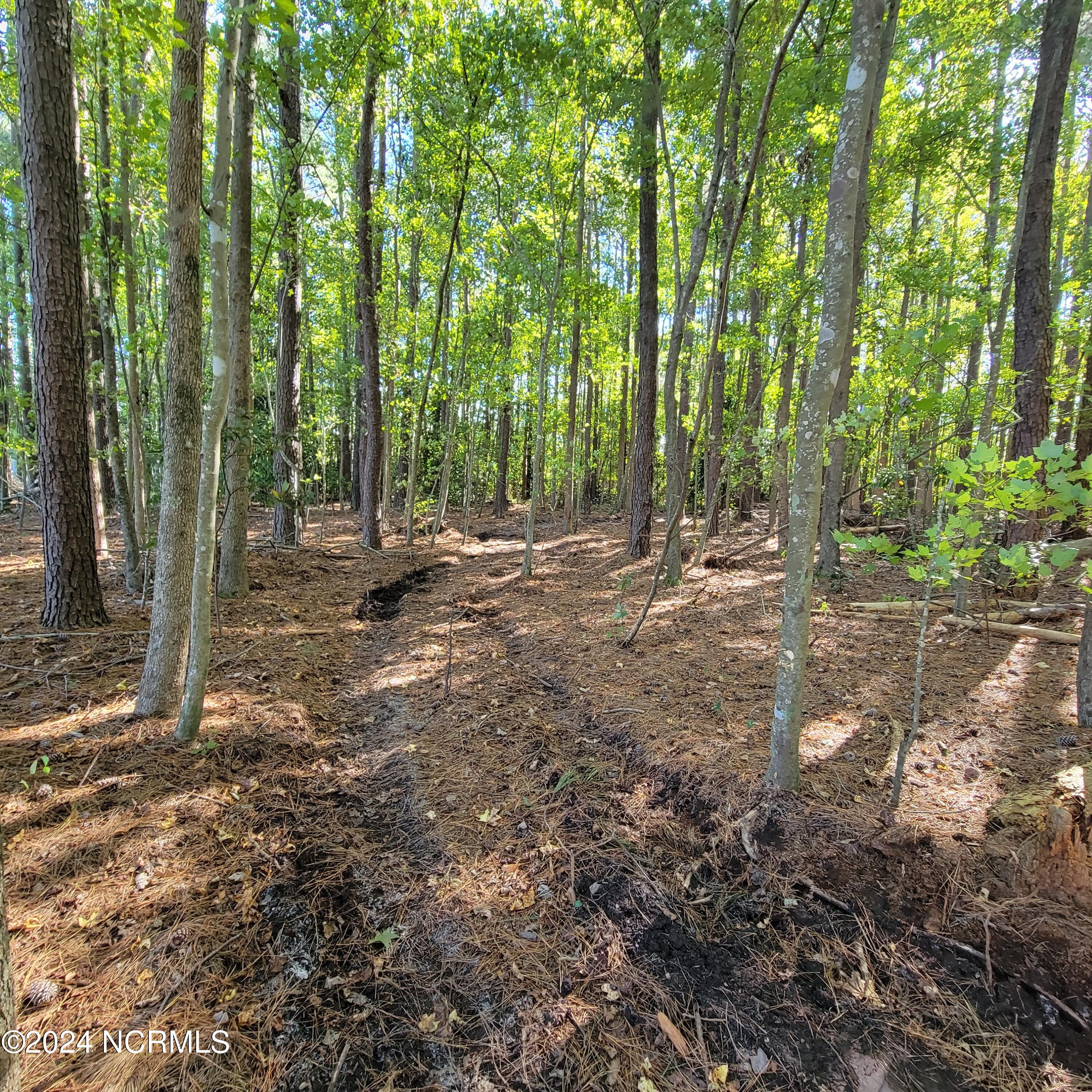 2294 Dawson Cabin Road Jacksonville, NC 28540 - Photo 39 of 51 20241010_151518