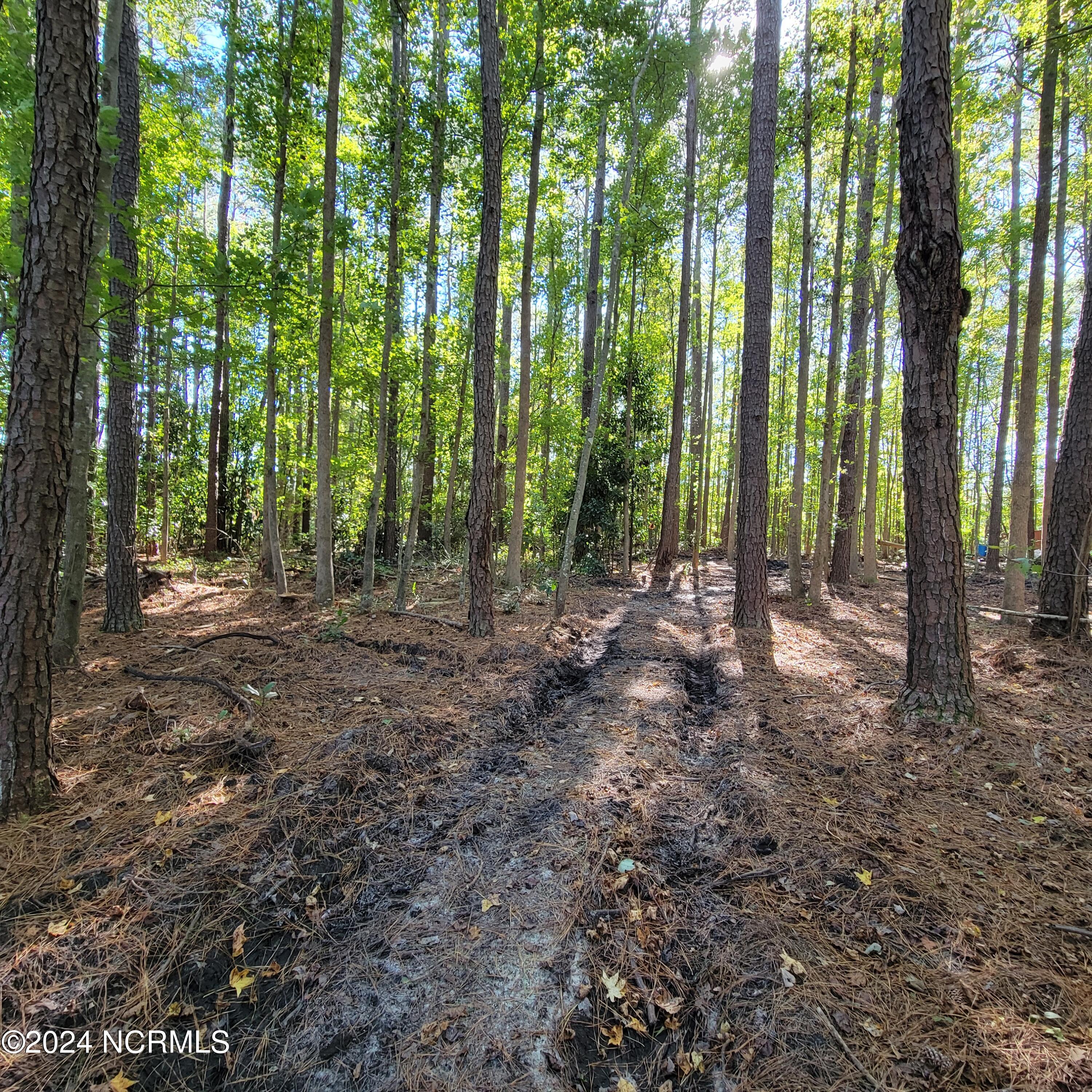 2294 Dawson Cabin Road Jacksonville, NC 28540 - Photo 40 of 51 20241010_151544