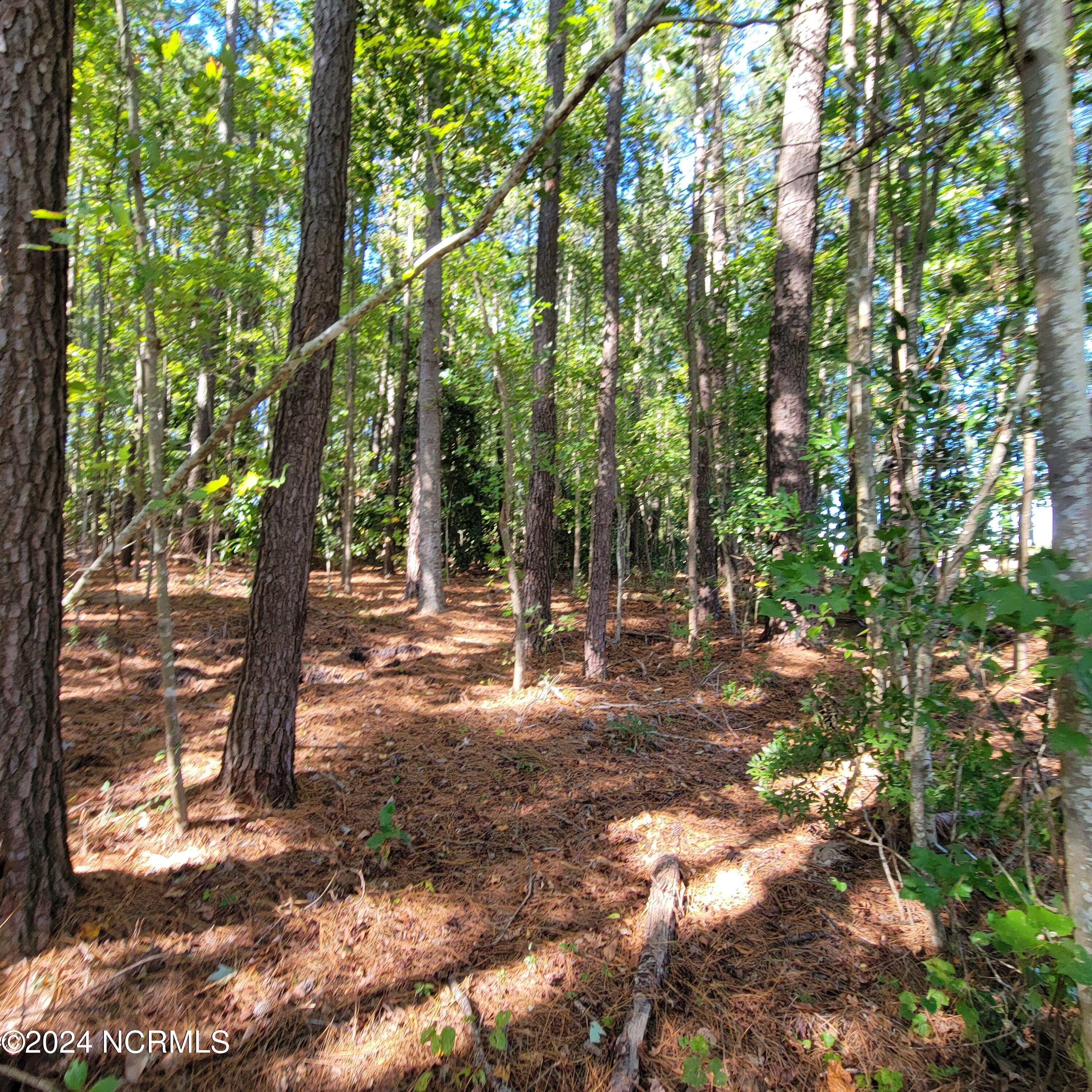 2294 Dawson Cabin Road Jacksonville, NC 28540 - Photo 4 of 51 20241010_145530