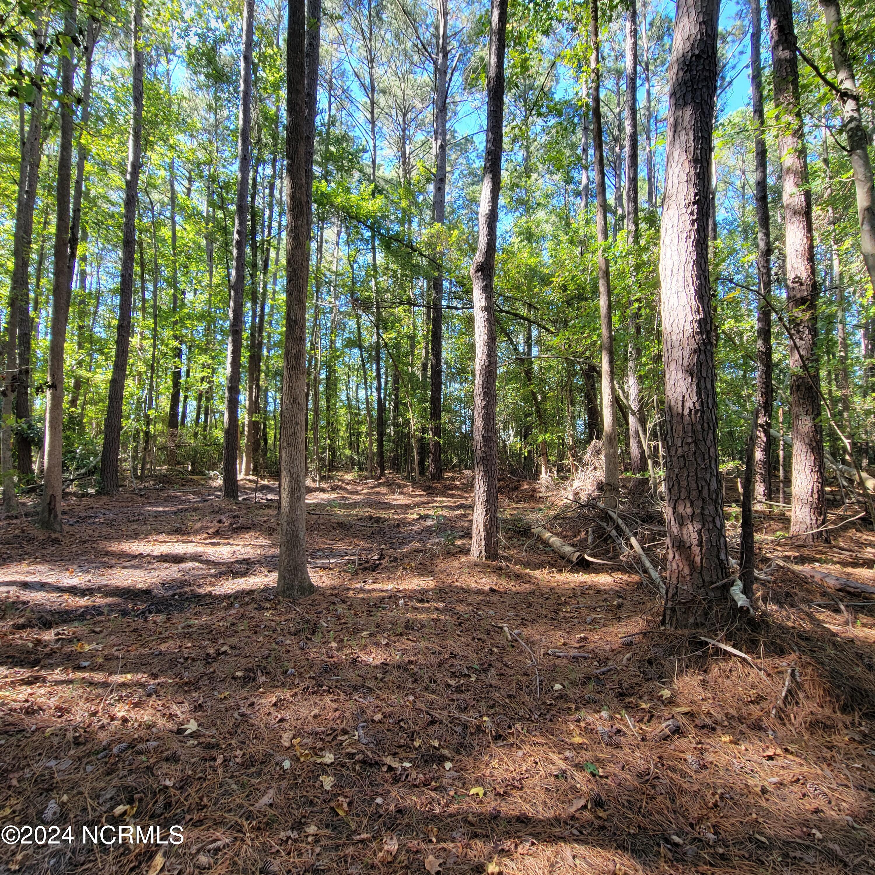 2294 Dawson Cabin Road Jacksonville, NC 28540 - Photo 41 of 51 20241010_151602