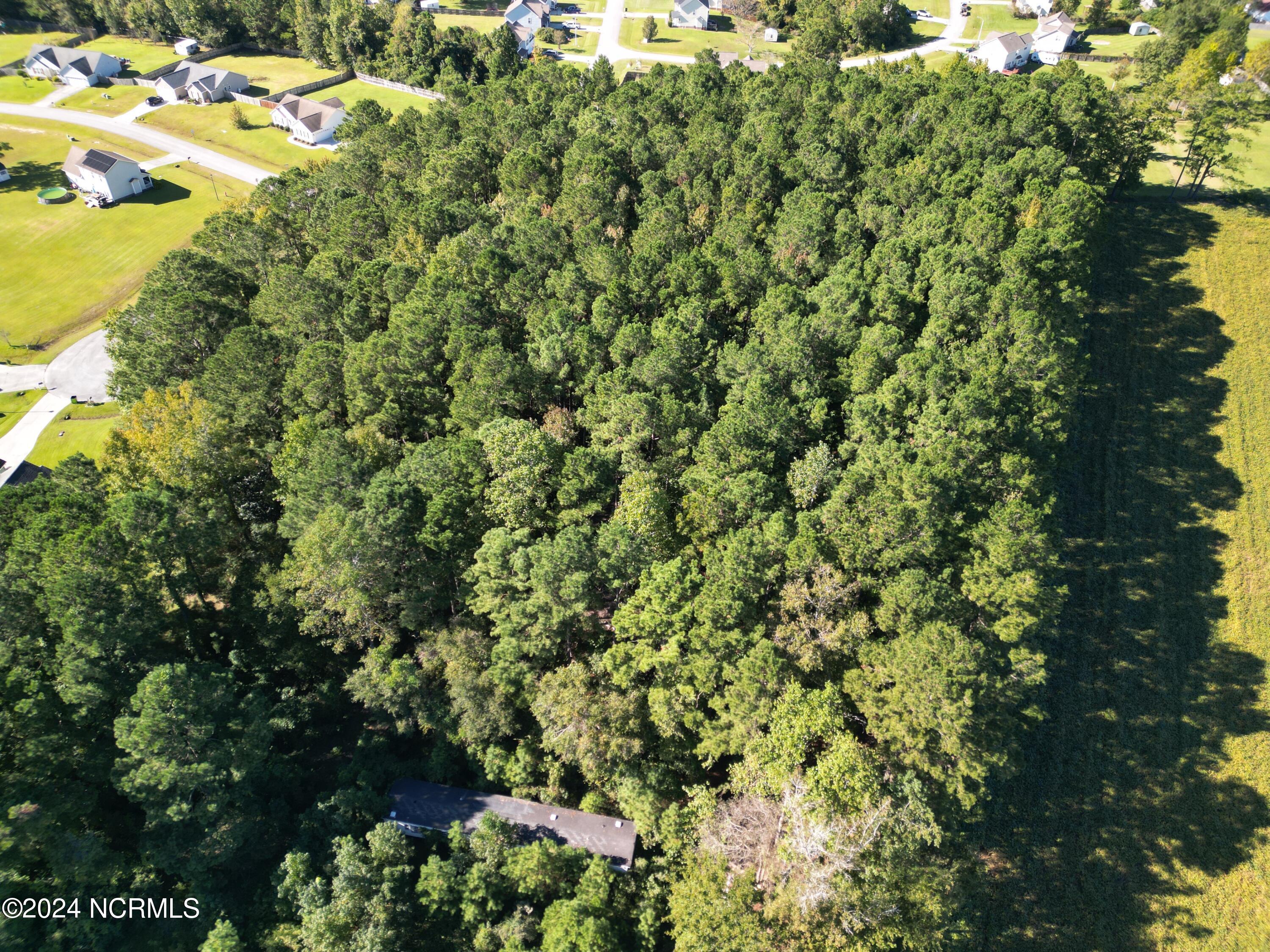 2294 Dawson Cabin Road Jacksonville, NC 28540 - Photo 42 of 51 DJI_0635