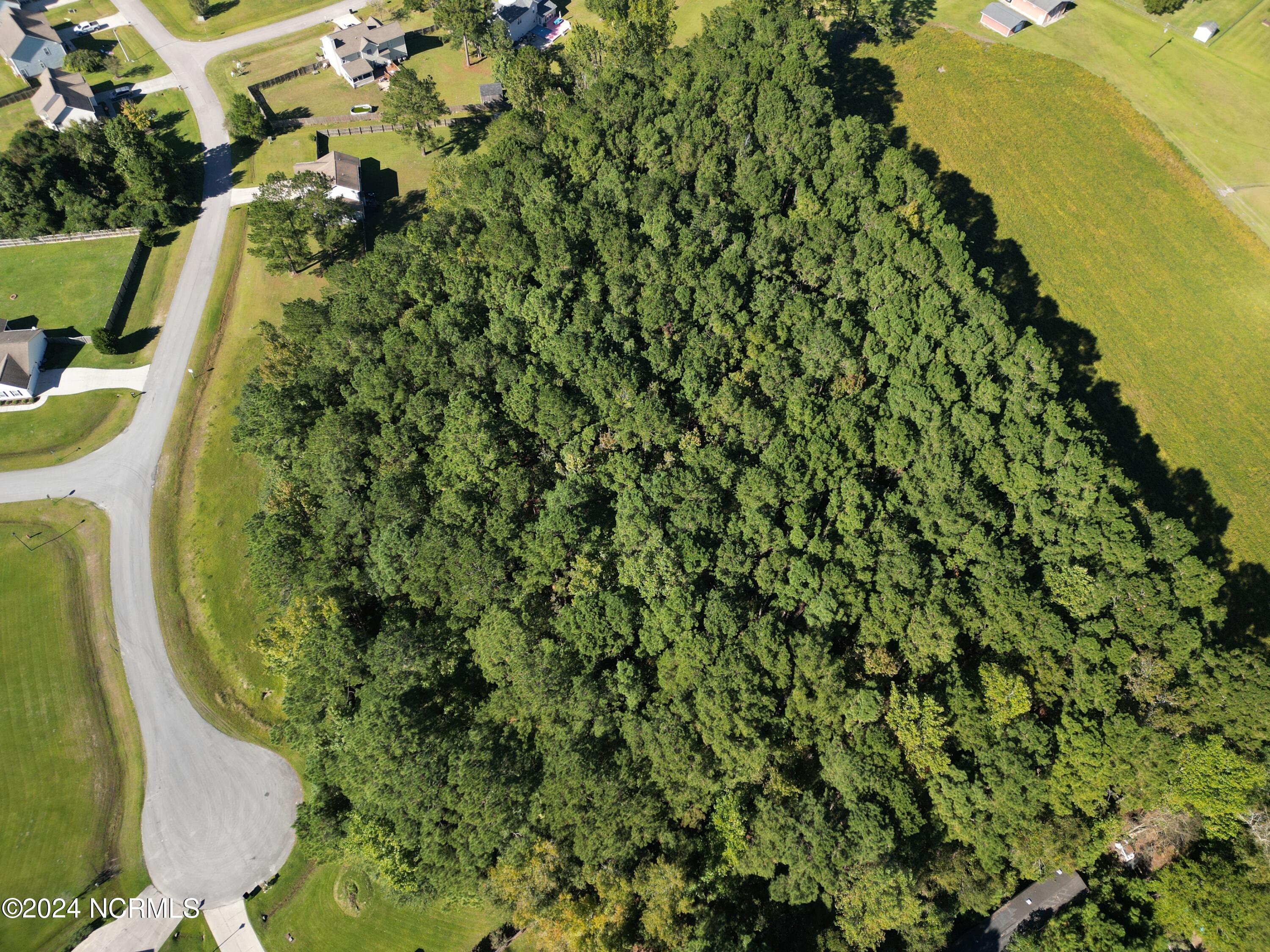 2294 Dawson Cabin Road Jacksonville, NC 28540 - Photo 46 of 51 DJI_0639