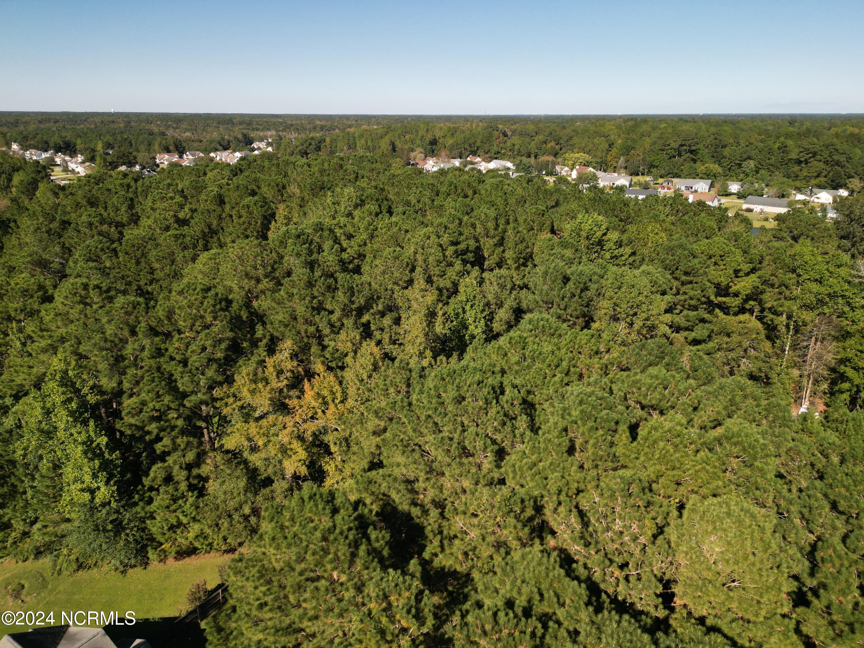 2294 Dawson Cabin Road Jacksonville, NC 28540 - Photo 49 of 51 DJI_0642