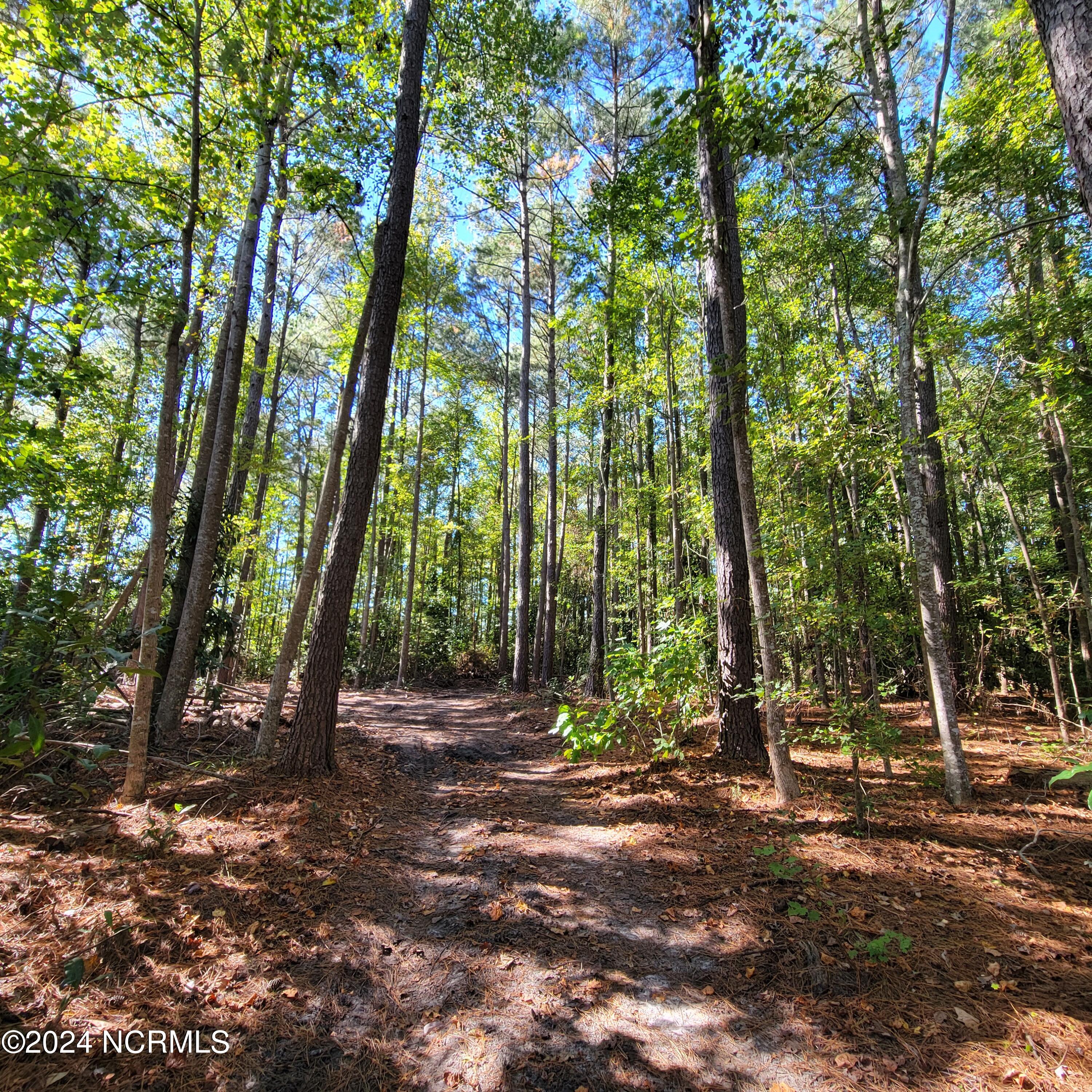 2294 Dawson Cabin Road Jacksonville, NC 28540 - Photo 5 of 51 20241010_145558