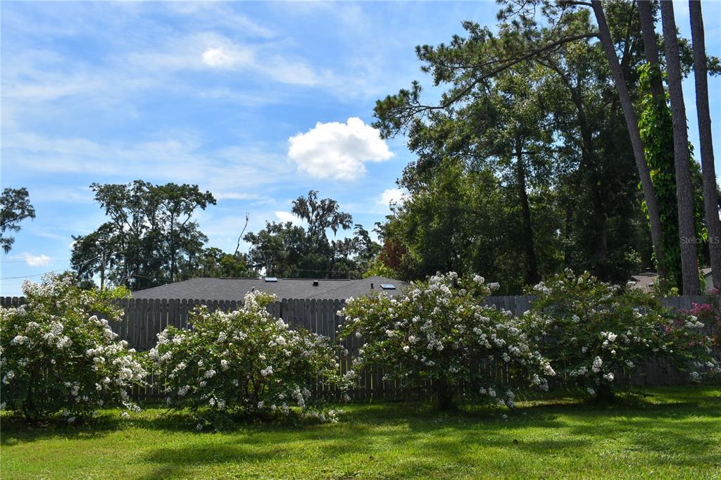 12453 Southeast 61st Court Belleview, FL 34420 - Photo 25 of 31