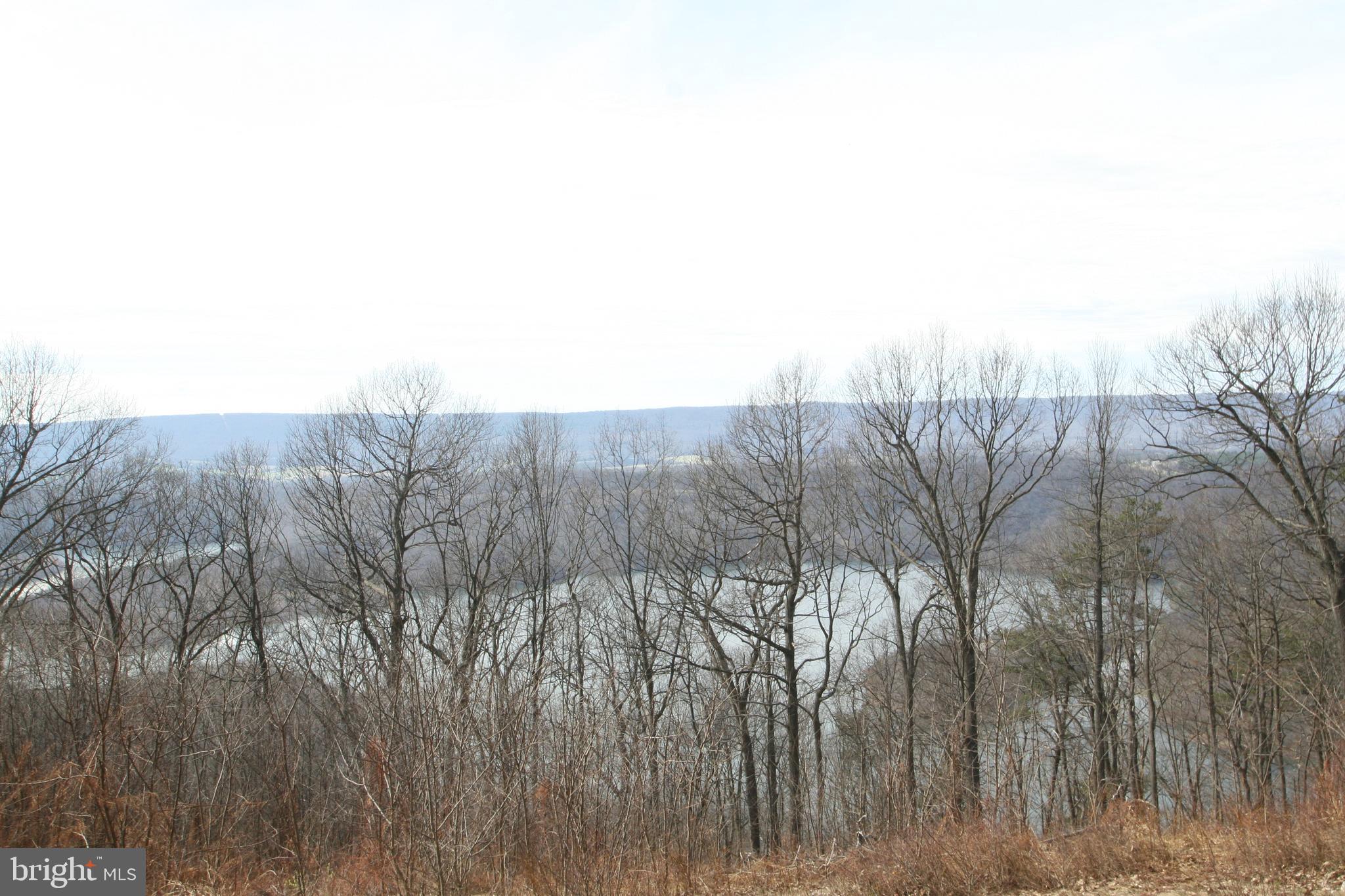 6448 Red Maple Circle Huntingdon, PA 16652 - Photo 11 of 39 Lake View