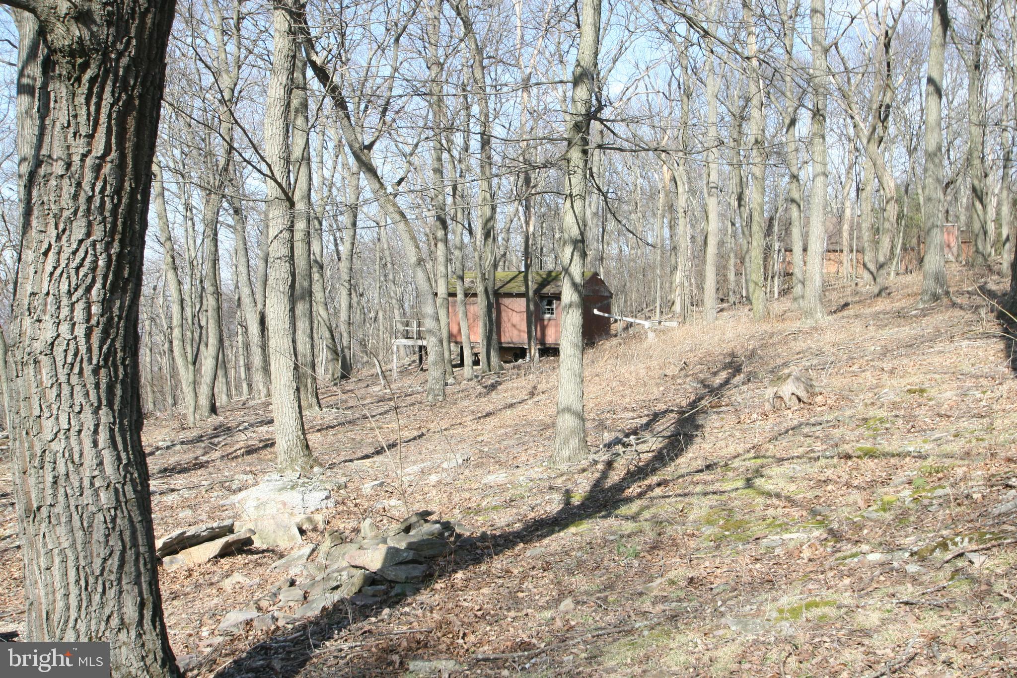 6448 Red Maple Circle Huntingdon, PA 16652 - Photo 27 of 39 Extra Parcel