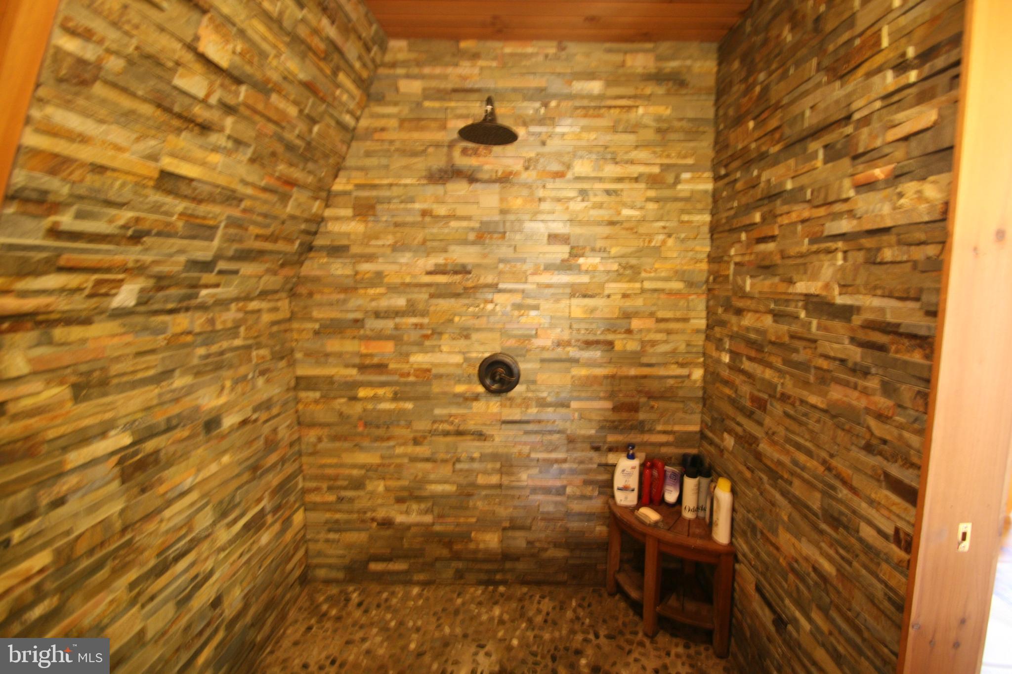 6448 Red Maple Circle Huntingdon, PA 16652 - Photo 28 of 39 Walk-In Shower