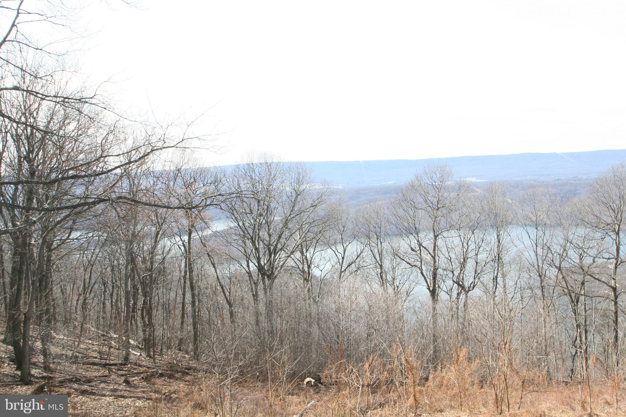 6448 Red Maple Circle Huntingdon, PA 16652 - Photo 3 of 39 Lake View