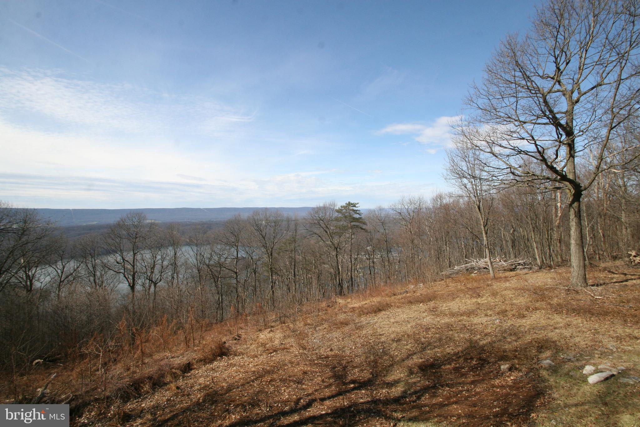 6448 Red Maple Circle Huntingdon, PA 16652 - Photo 4 of 39 Back Yard