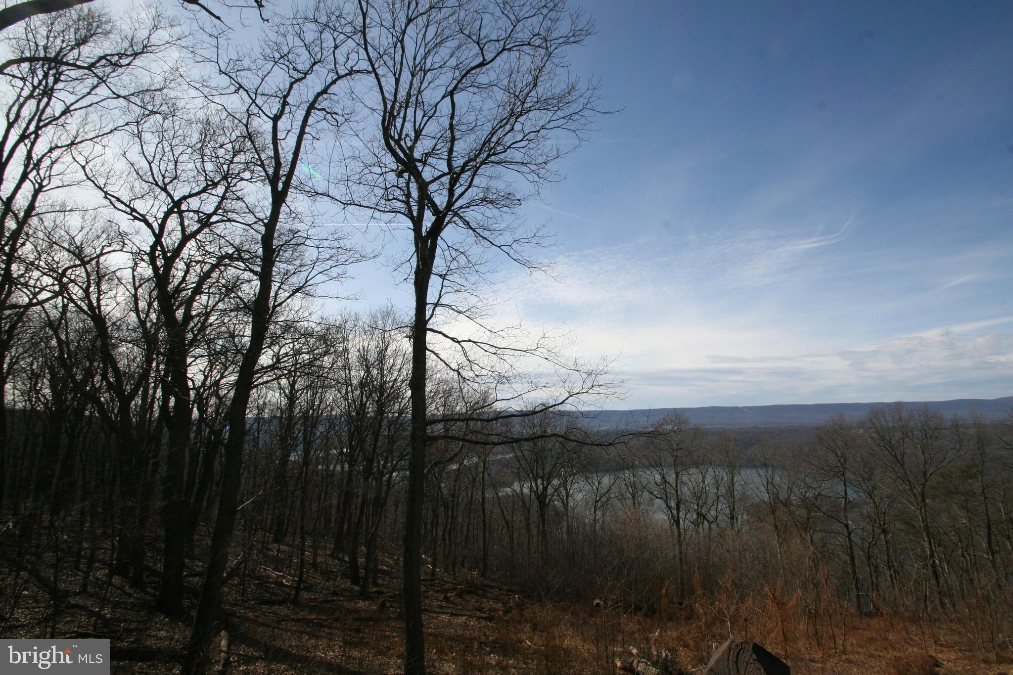 6448 Red Maple Circle Huntingdon, PA 16652 - Photo 5 of 39 Back Yard