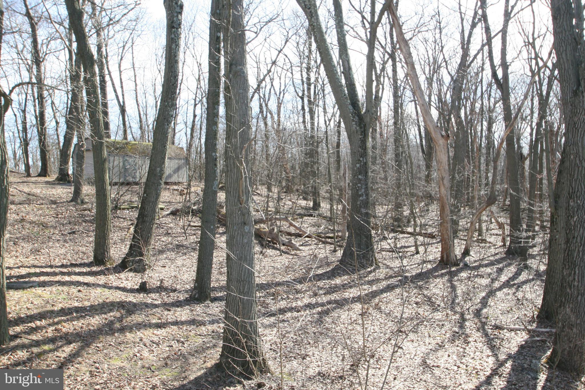 6448 Red Maple Circle Huntingdon, PA 16652 - Photo 7 of 39 Extra Parcel